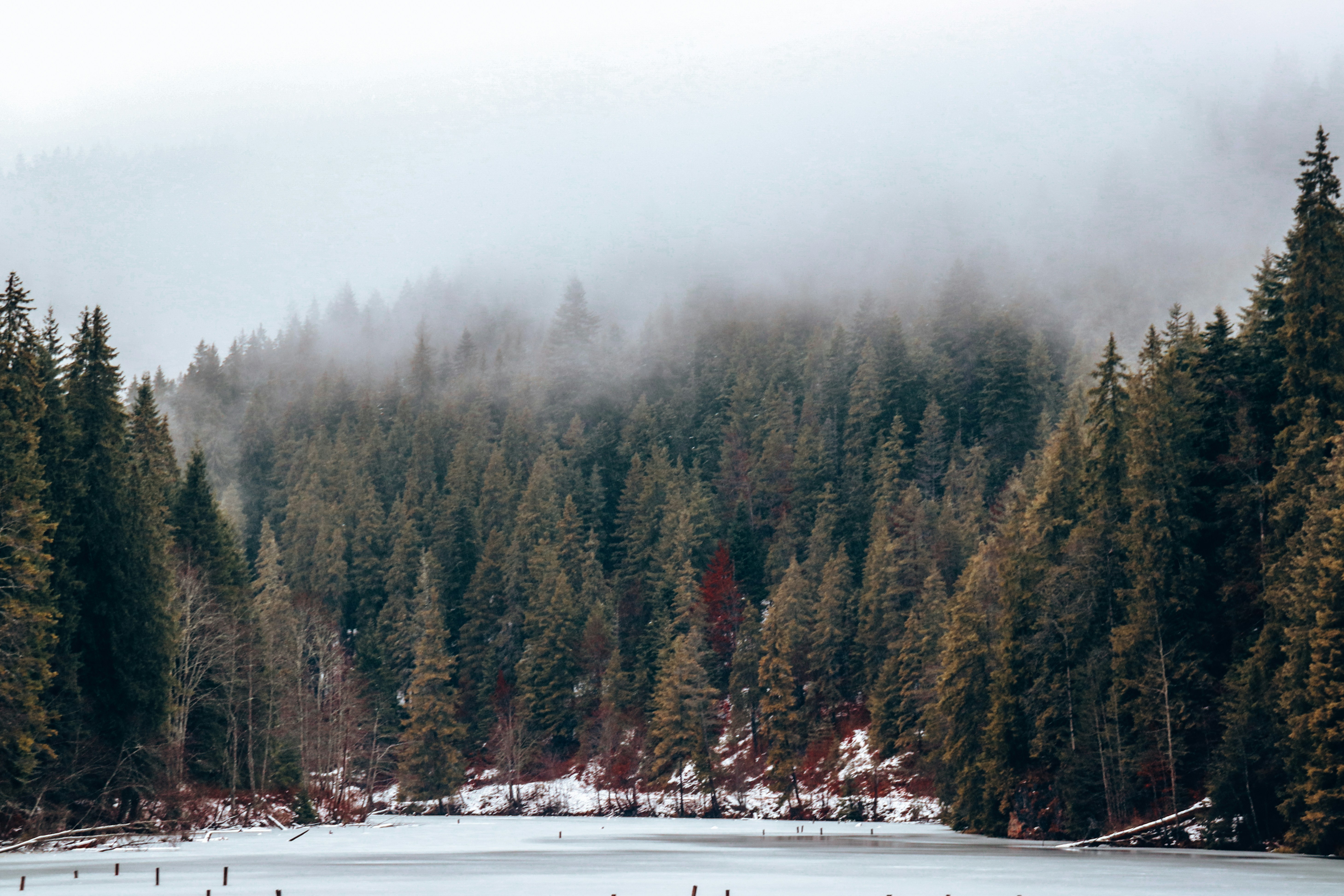 Photo by krisztian21