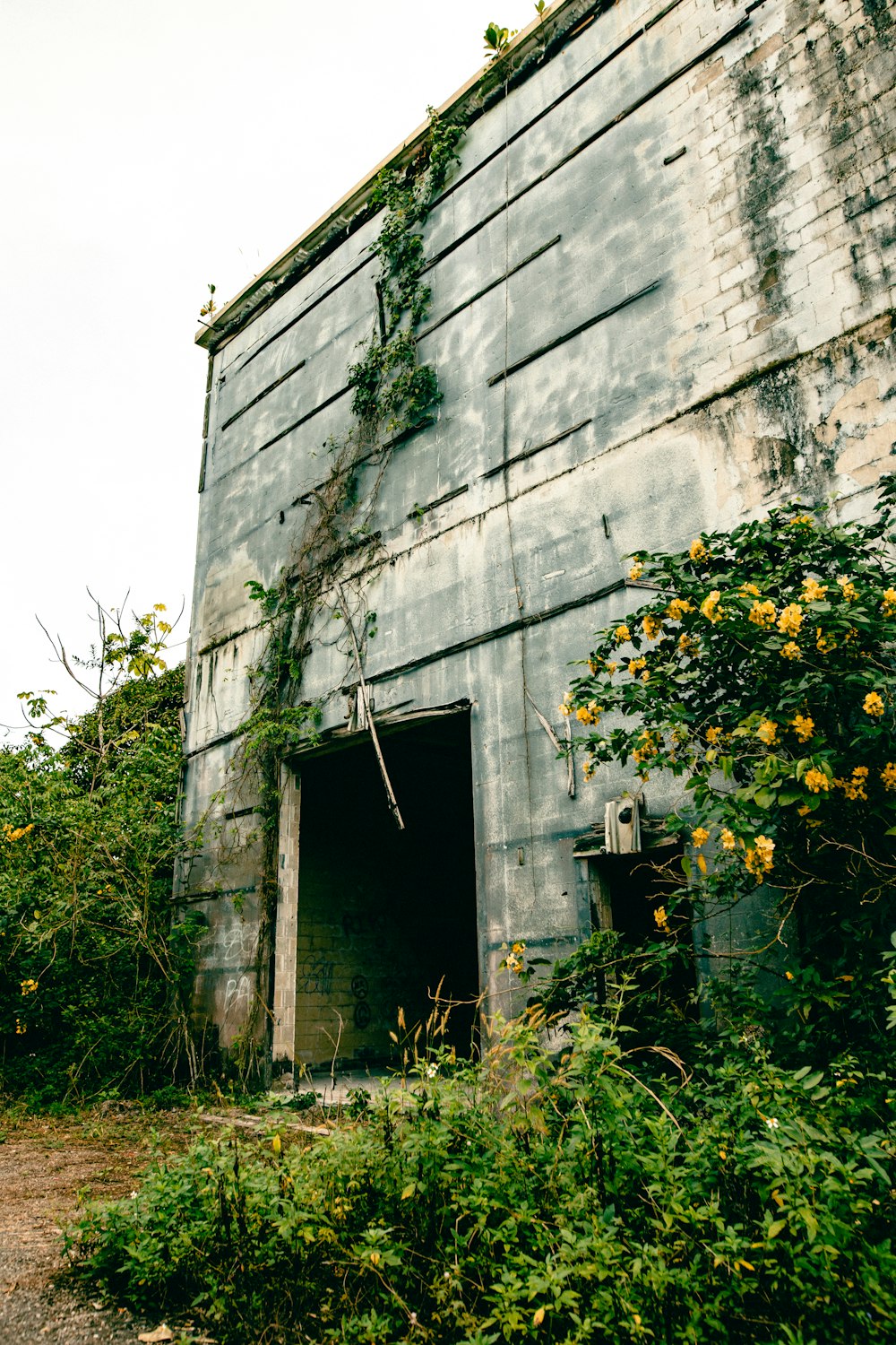 an old building with vines growing on the side of it