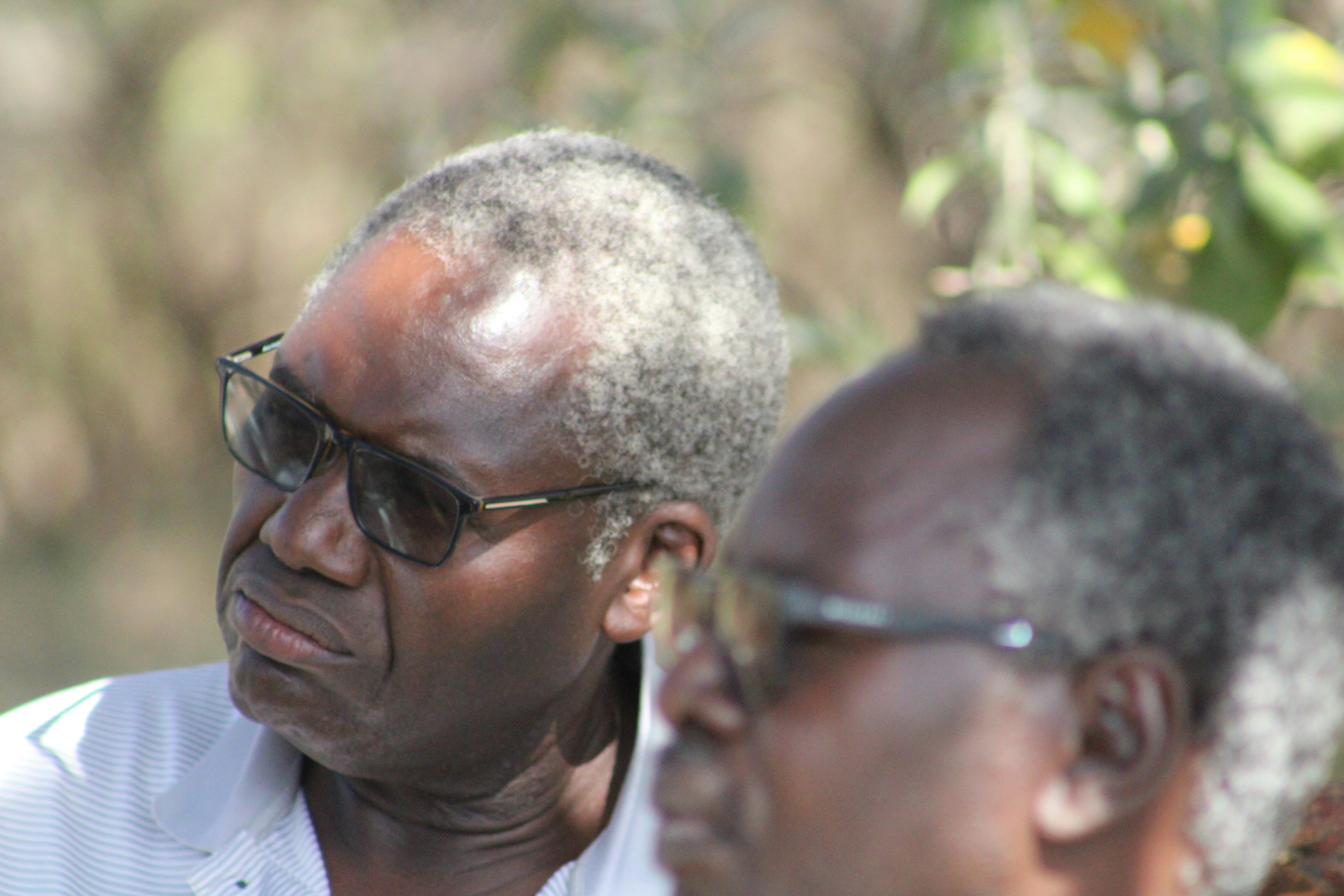 A graph showing the rising trend of fuel prices over the last few years in India.