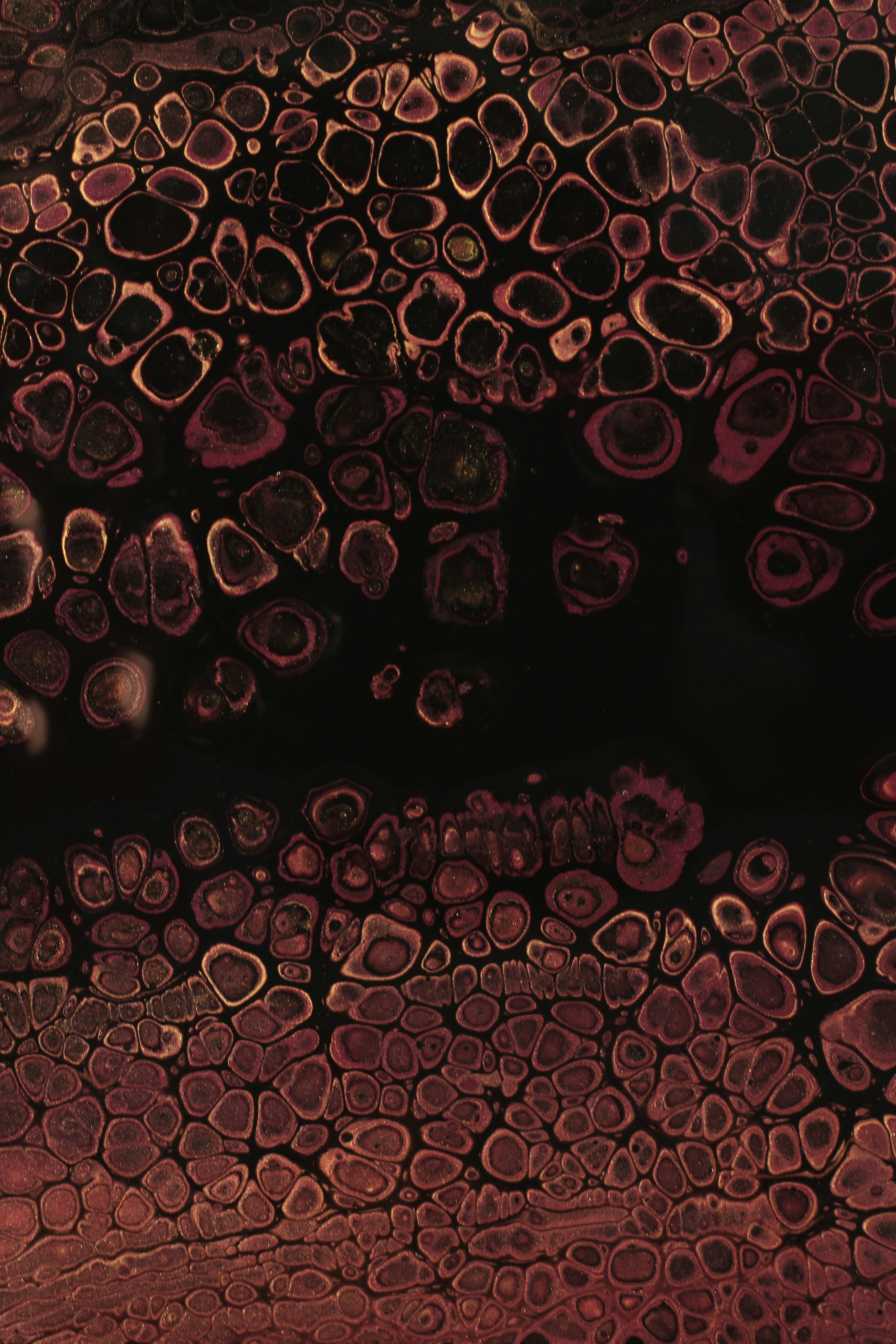 Photo by susan_wilkinson