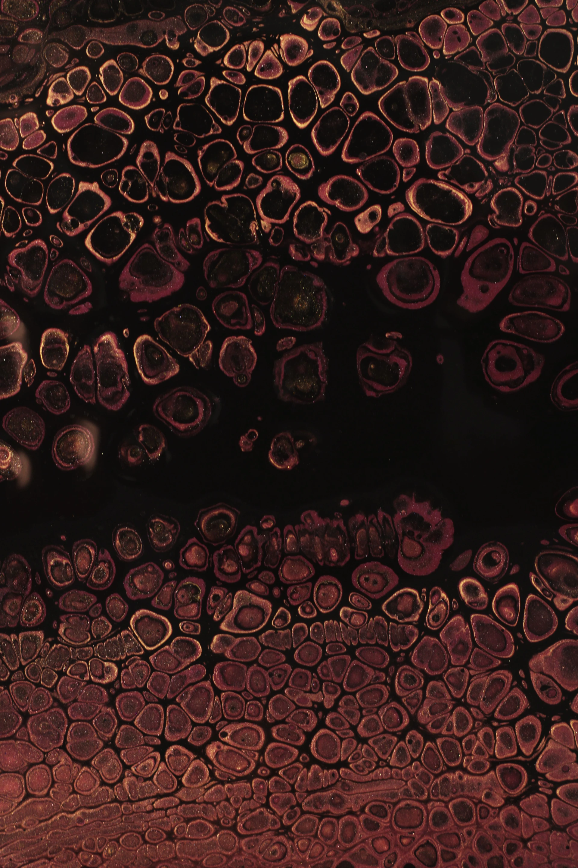 a close up of a bunch of blood cells