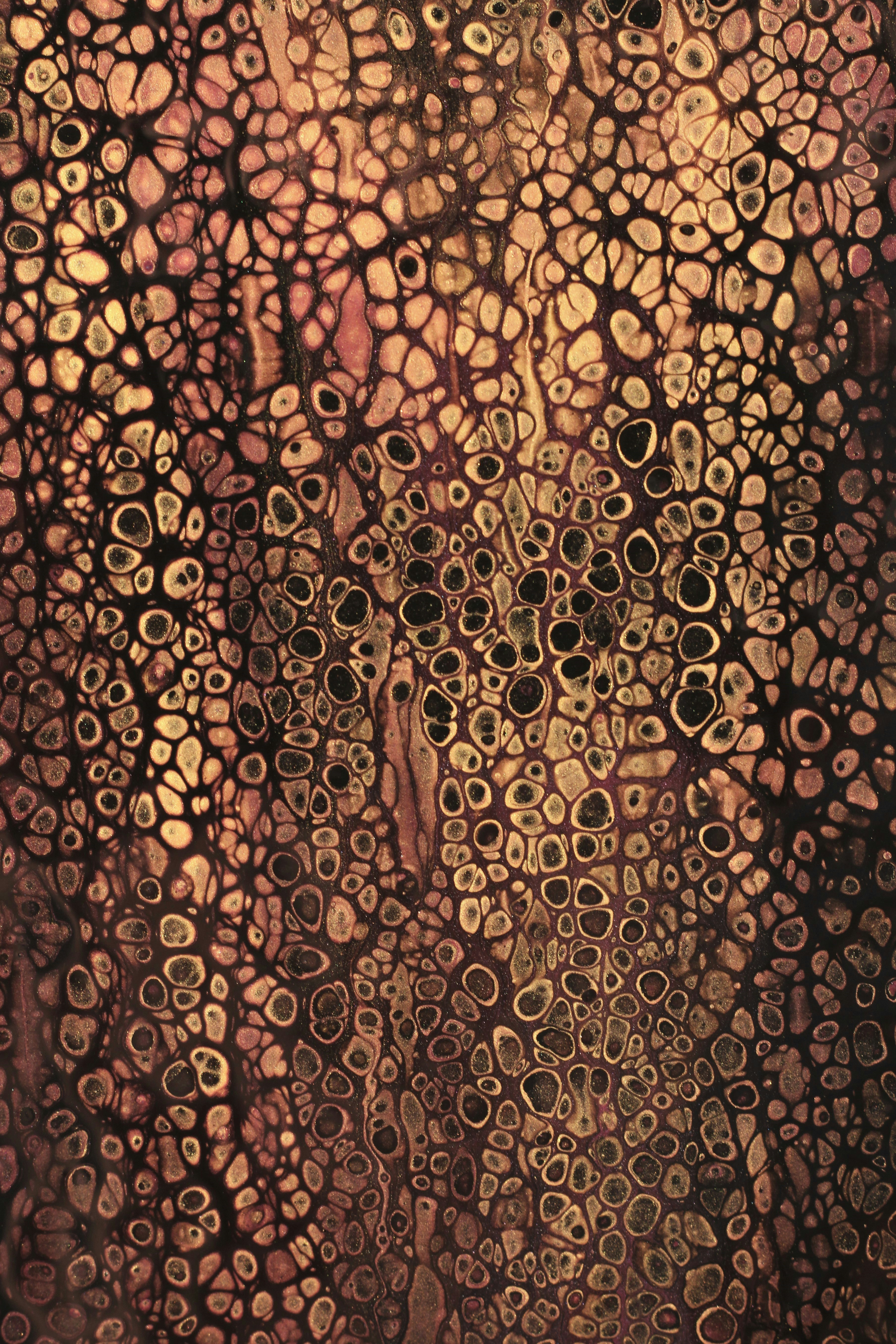 Photo by susan_wilkinson