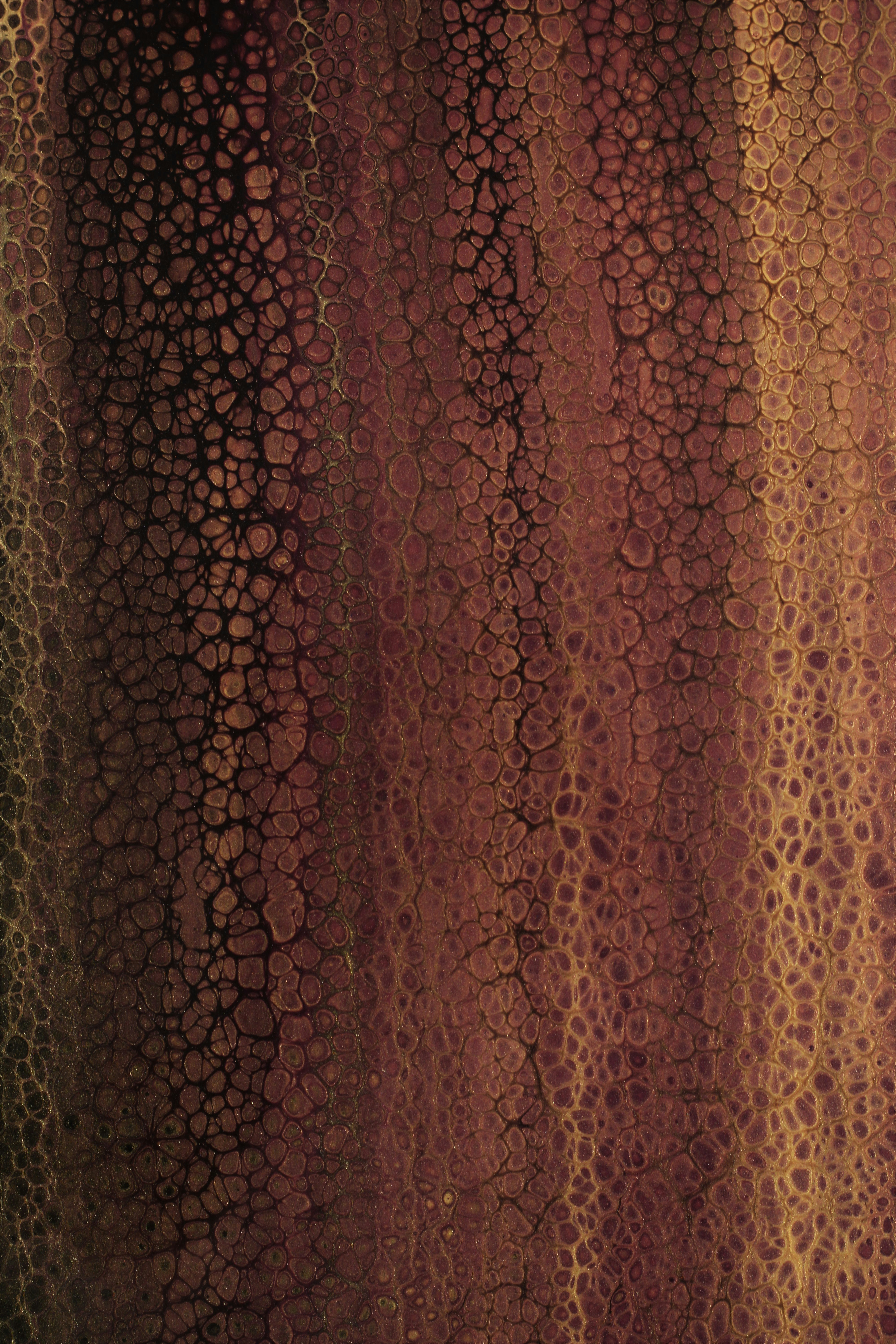 Photo by susan_wilkinson