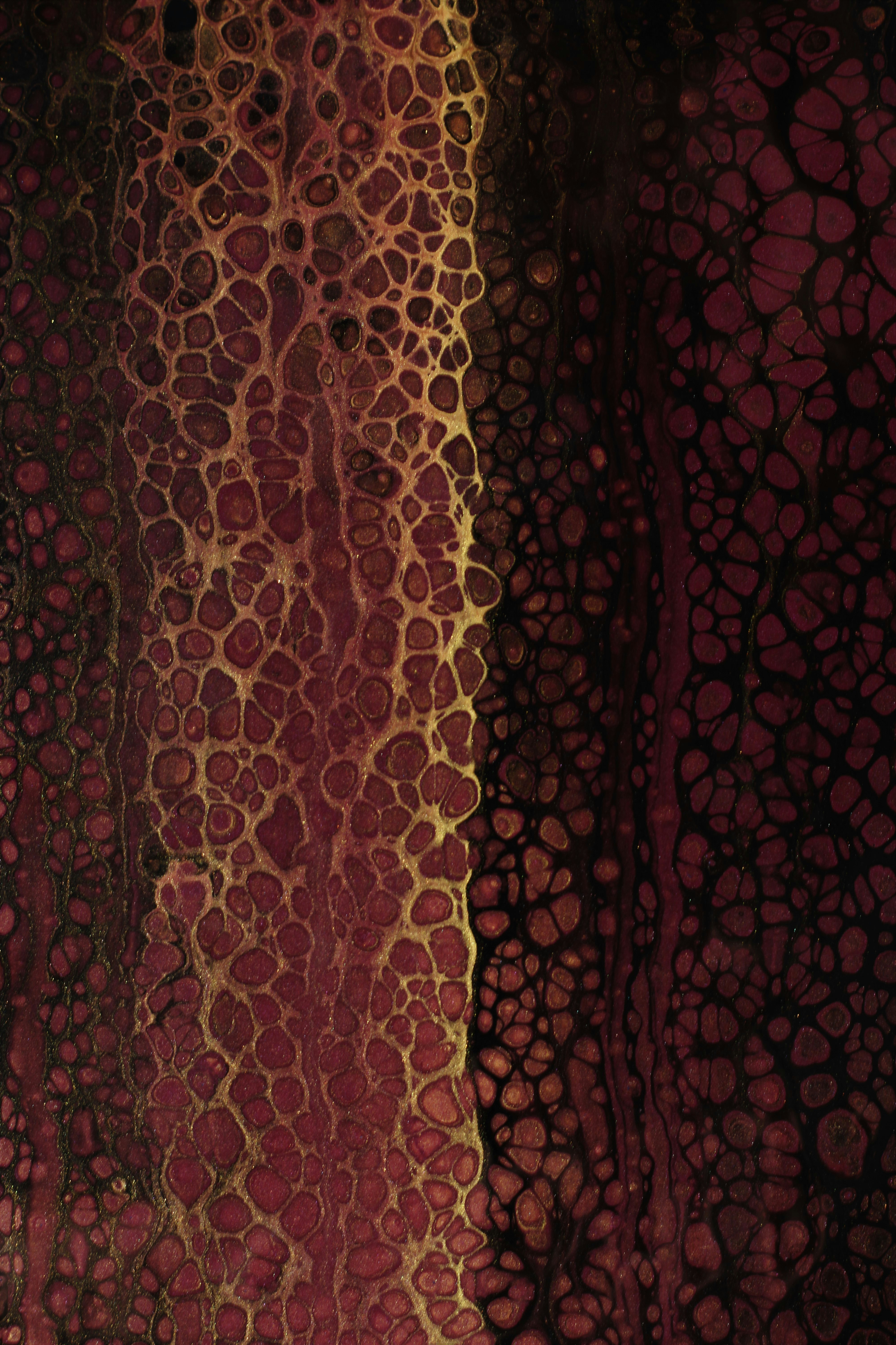 Photo by susan_wilkinson