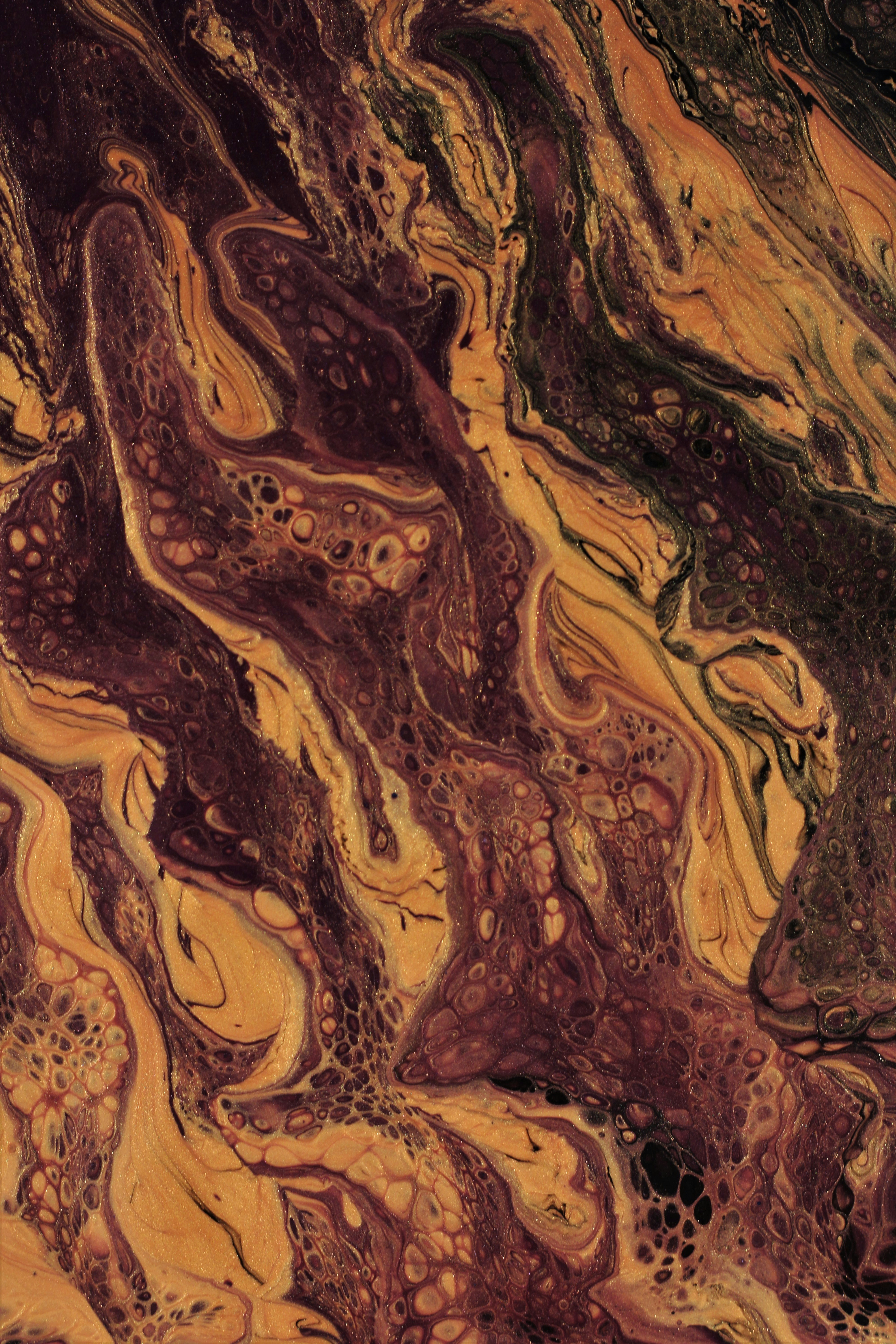 Photo by susan_wilkinson