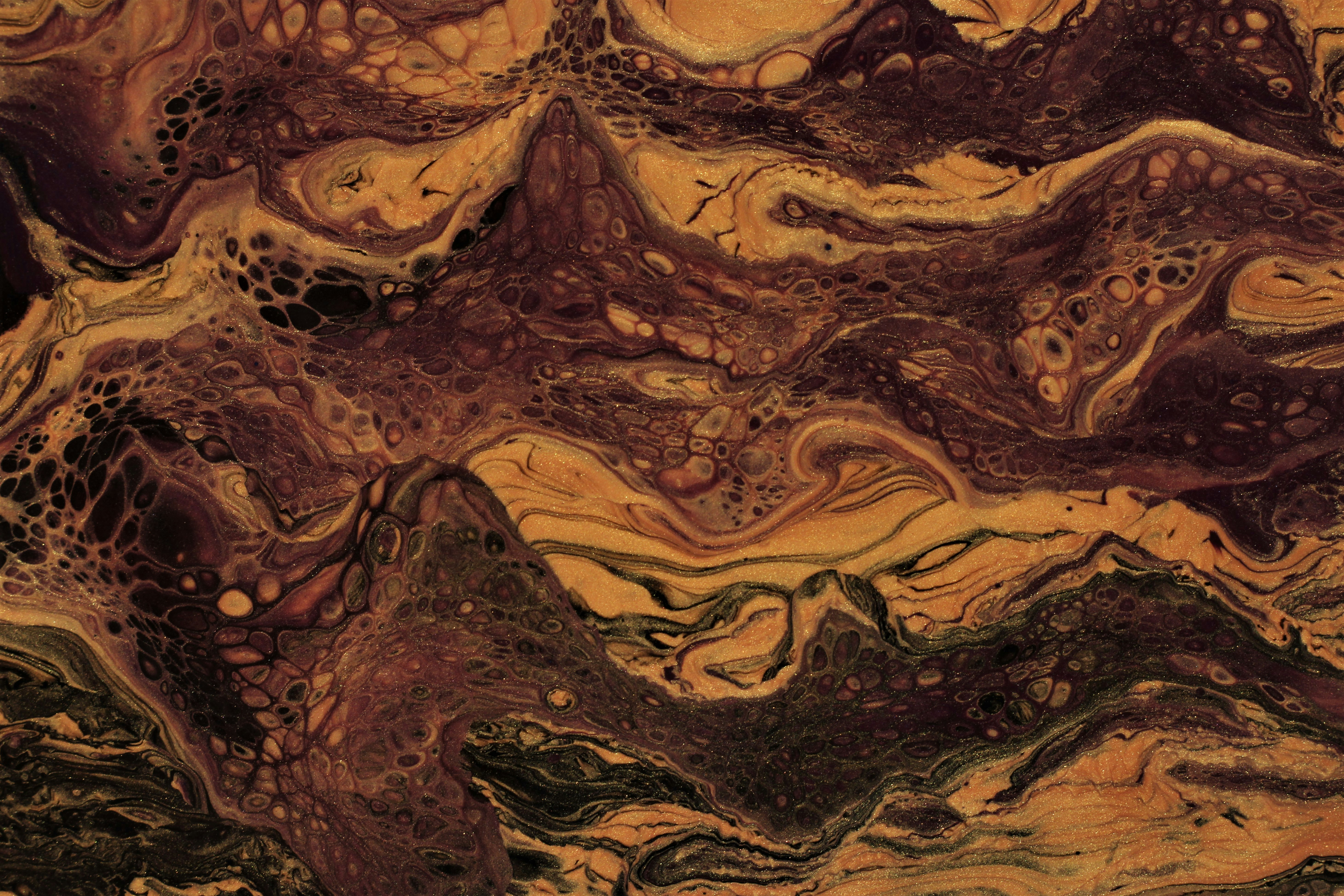 Photo by susan_wilkinson