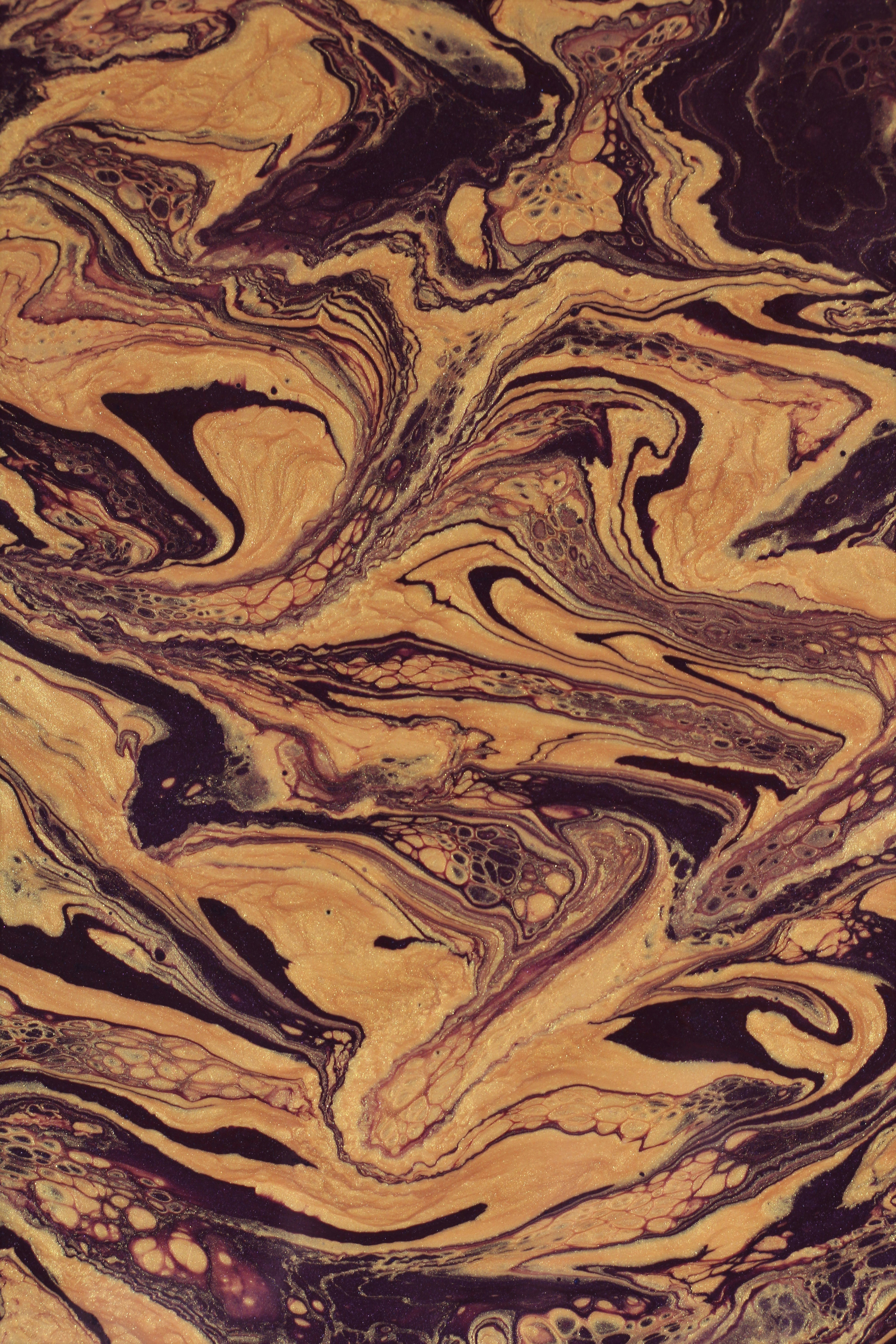 Photo by susan_wilkinson