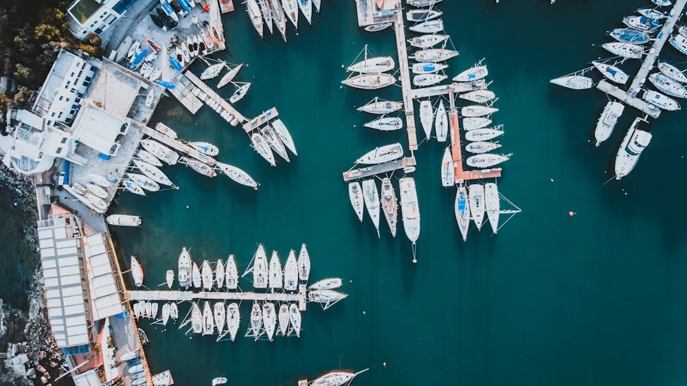 an aerial view of a marina with many boats