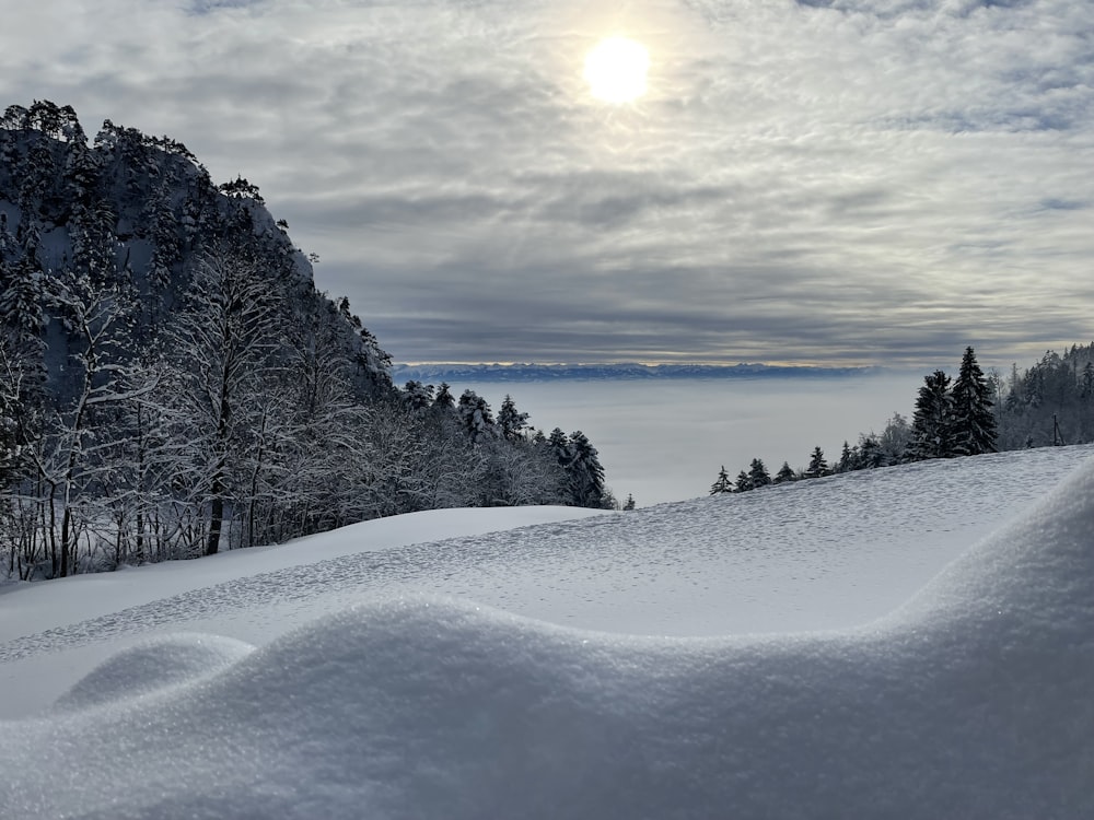 a snow covered hill with trees and clouds in the background