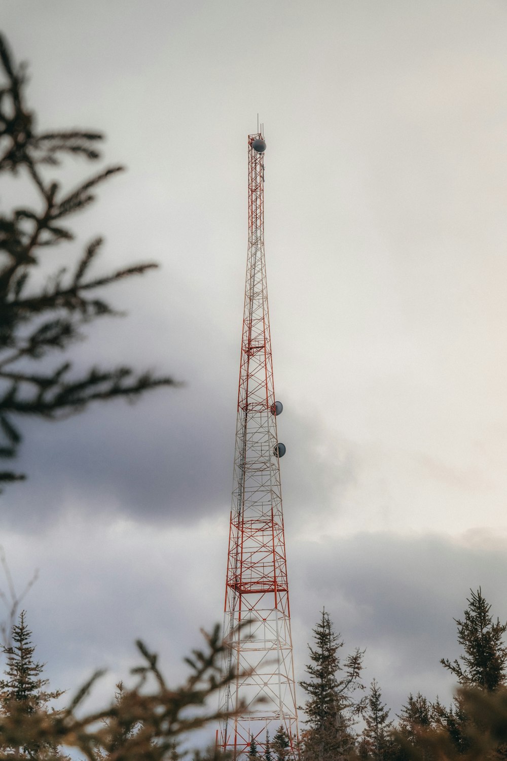 a tall radio tower sitting in the middle of a forest