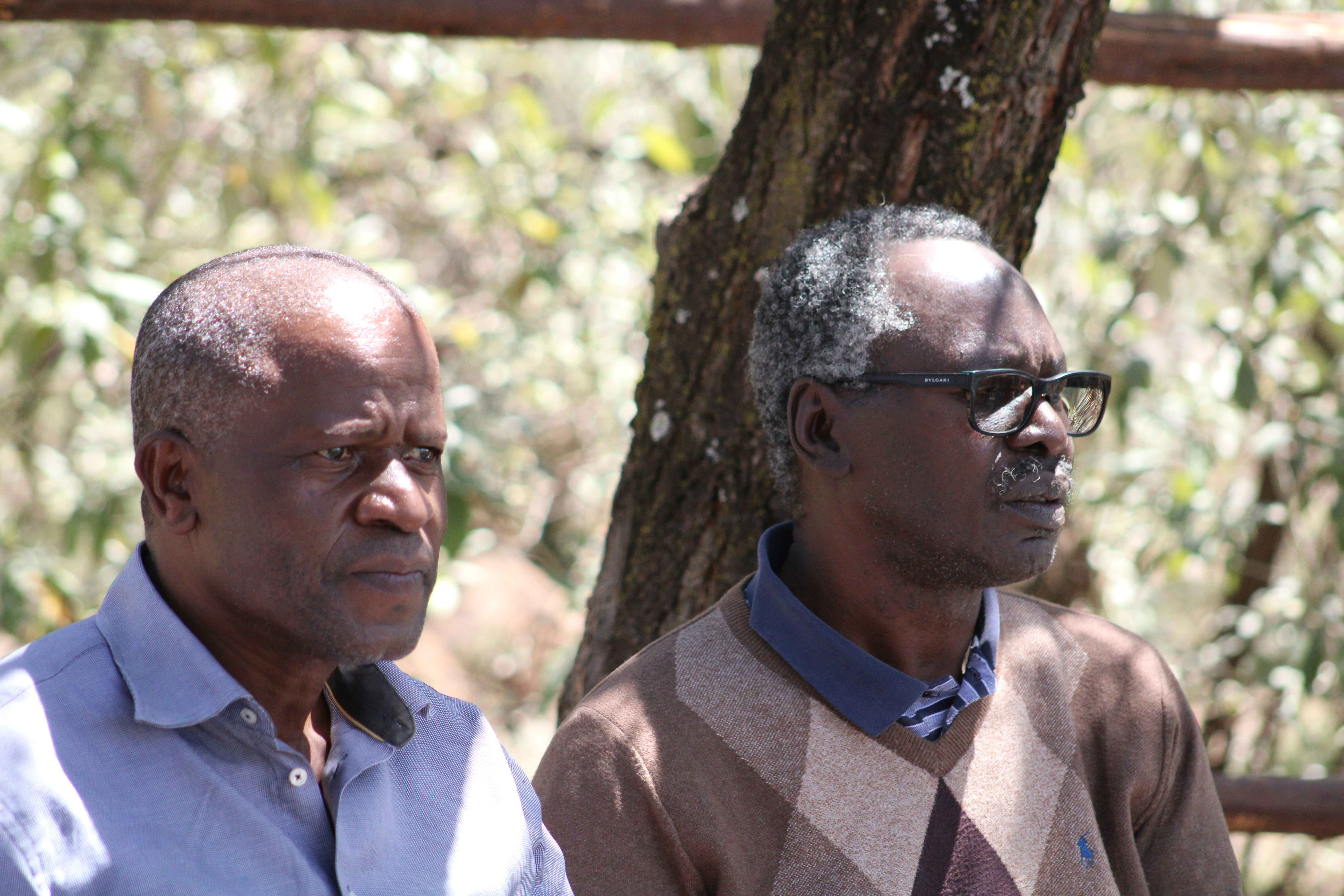 Photo by xodusdigitals