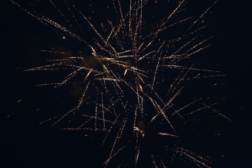 a bunch of fireworks are lit up in the night sky