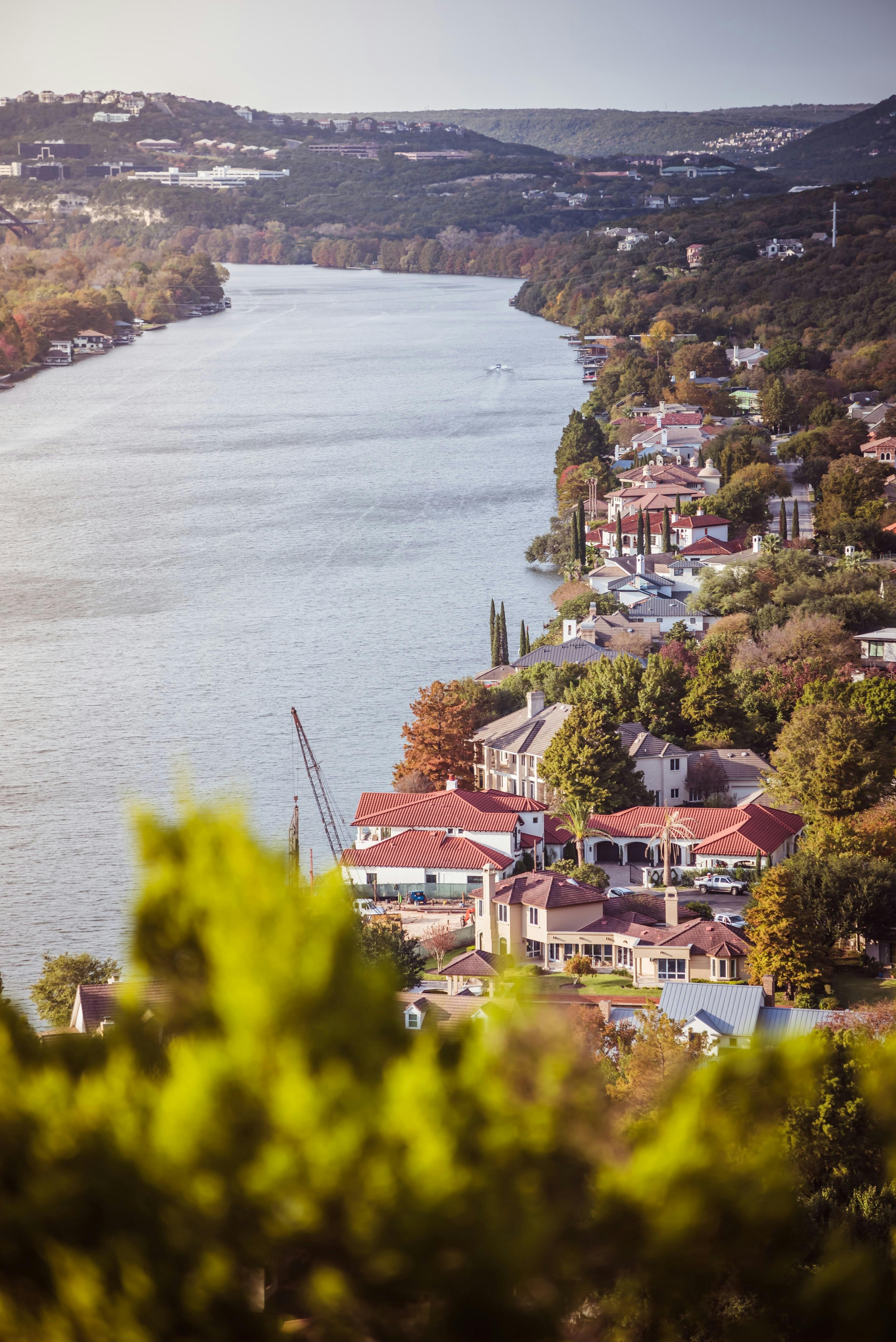 Un fiume che attraversa una lussureggiante foresta verde