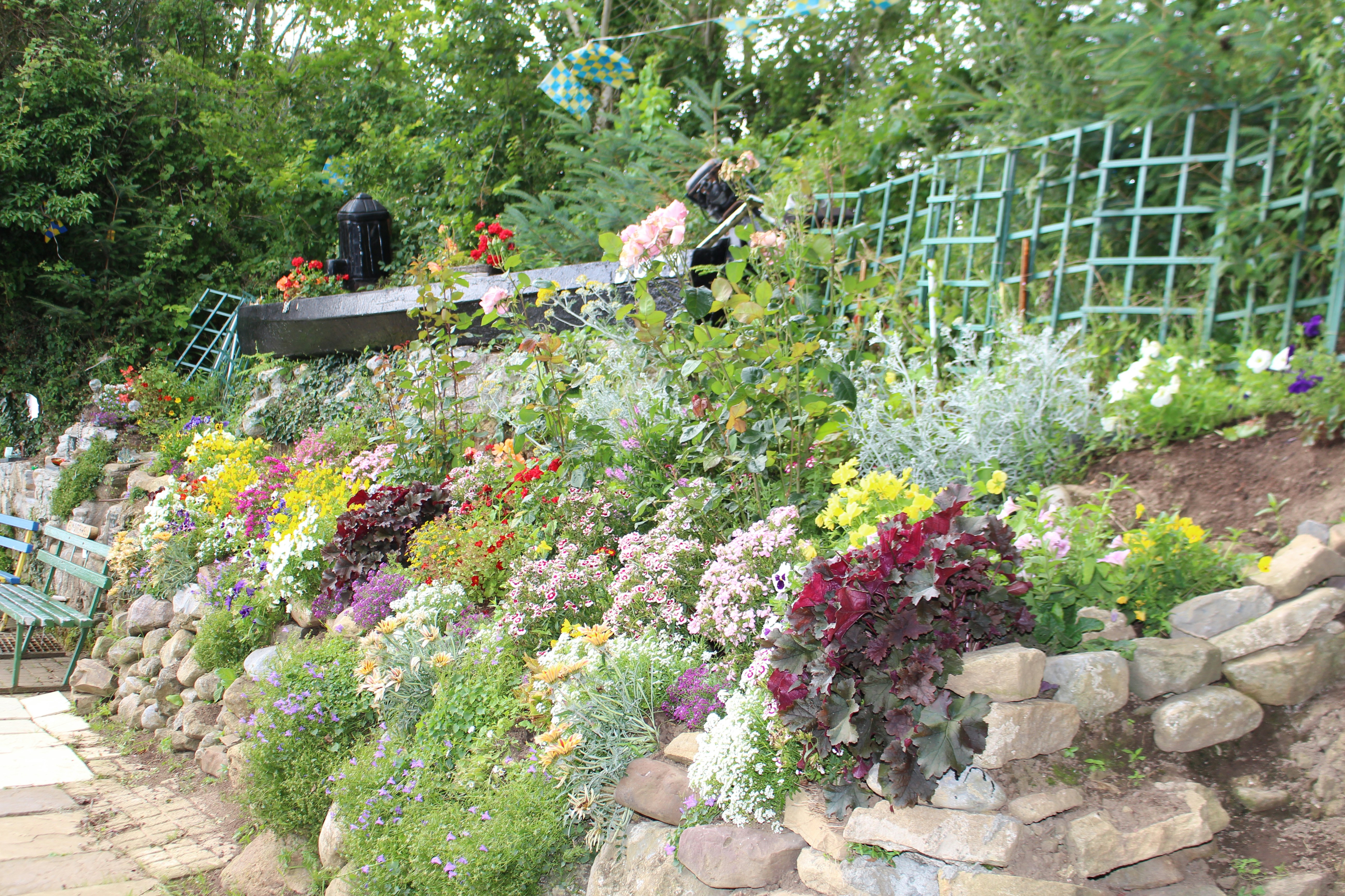 a garden filled with lots of flowers and plants