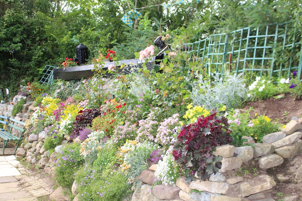 a garden filled with lots of flowers and plants