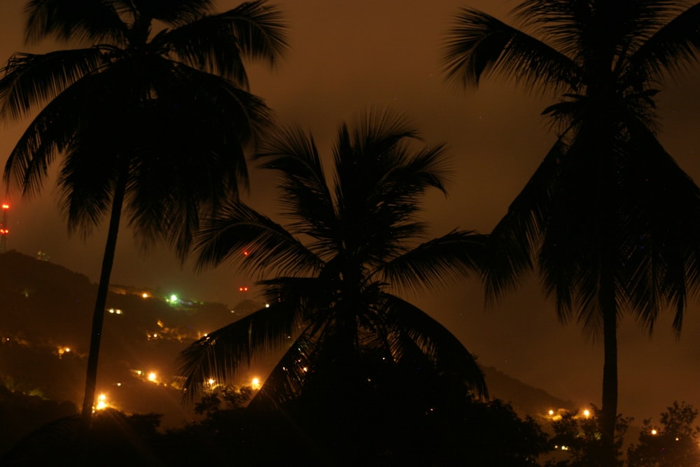 a night view of a city with palm trees