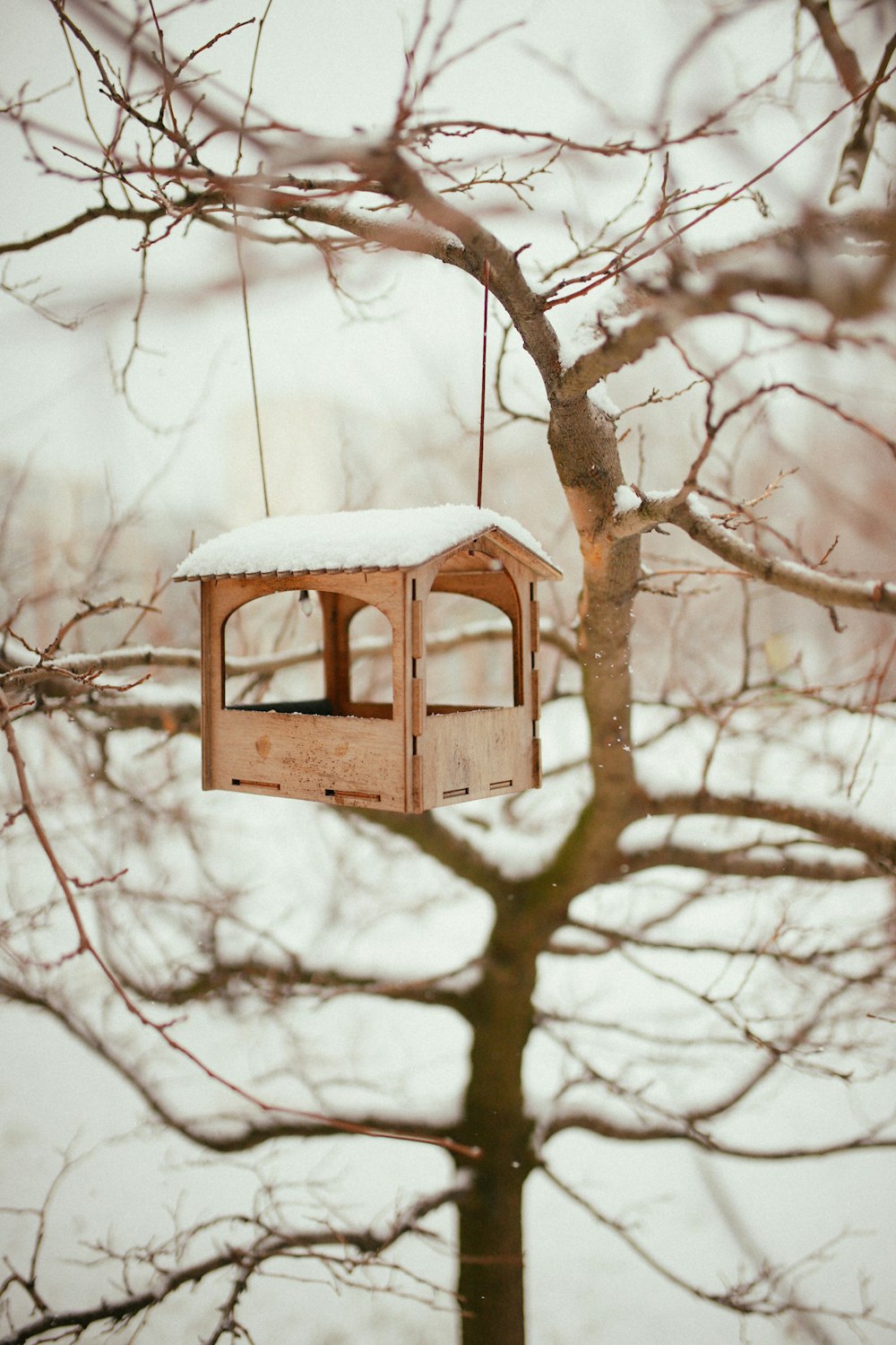 uma casa de pássaro pendurada em uma árvore na neve