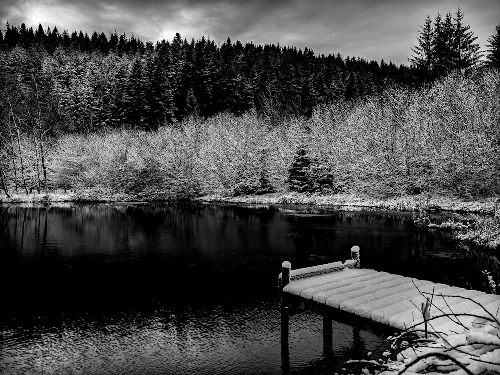 a black and white photo of a lake and a dock
