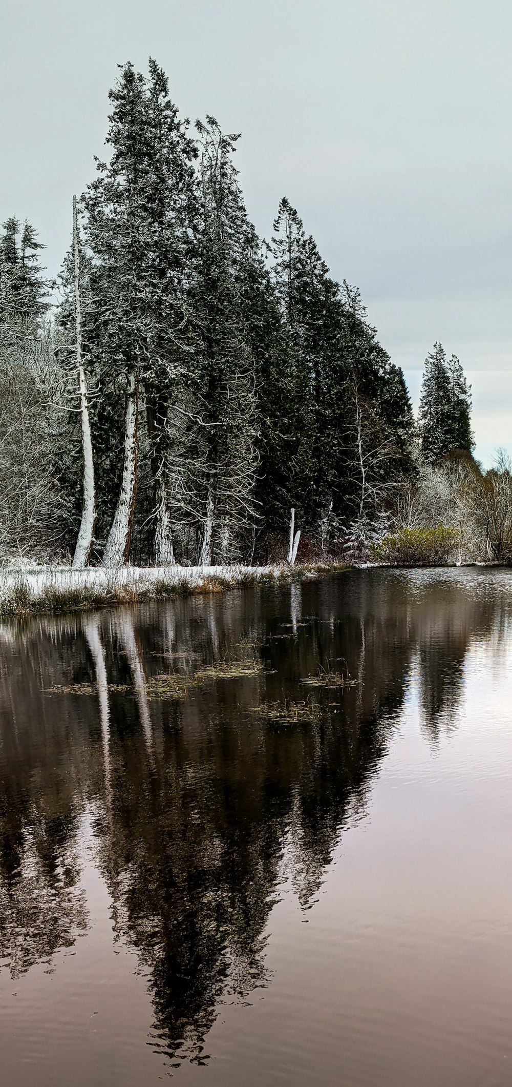 uno specchio d'acqua circondato da alberi e neve