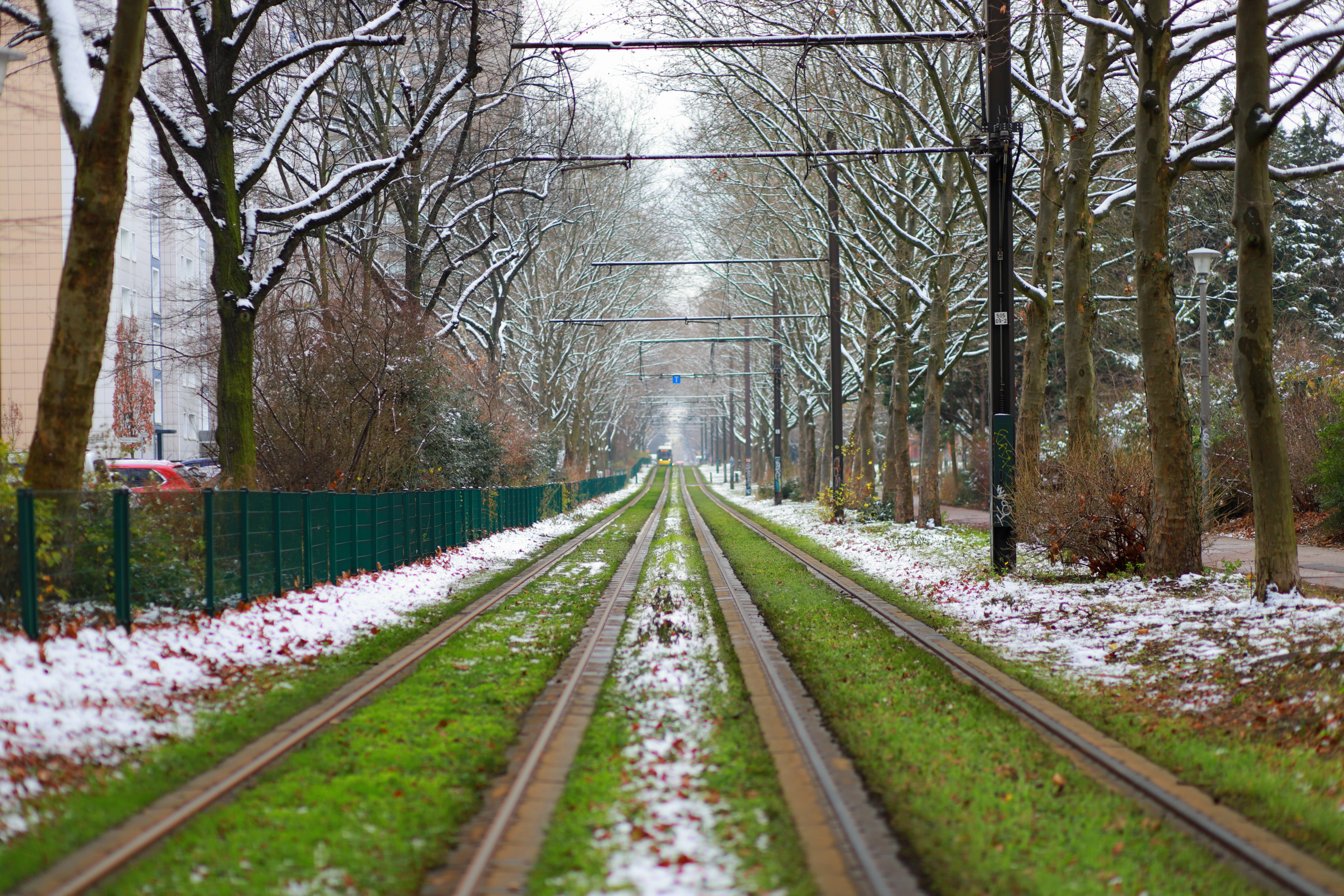 Light-rail tracks under overhead wires run between snow-dusted trees