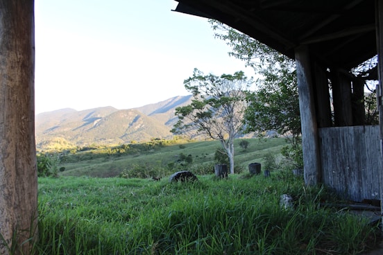 scenic rim: Best Day Trips from Brisbane