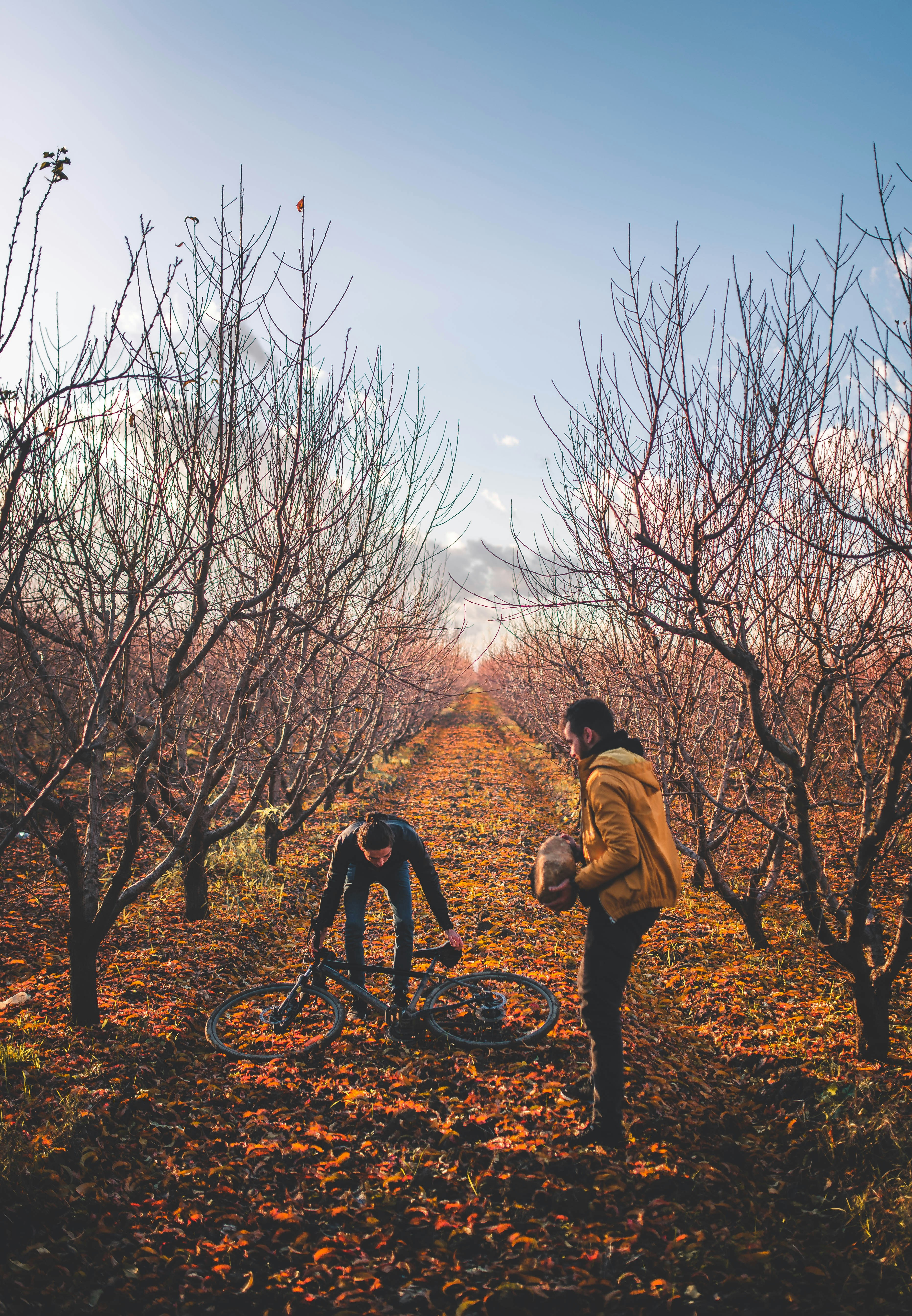 Un par de personas de pie en medio de un campo