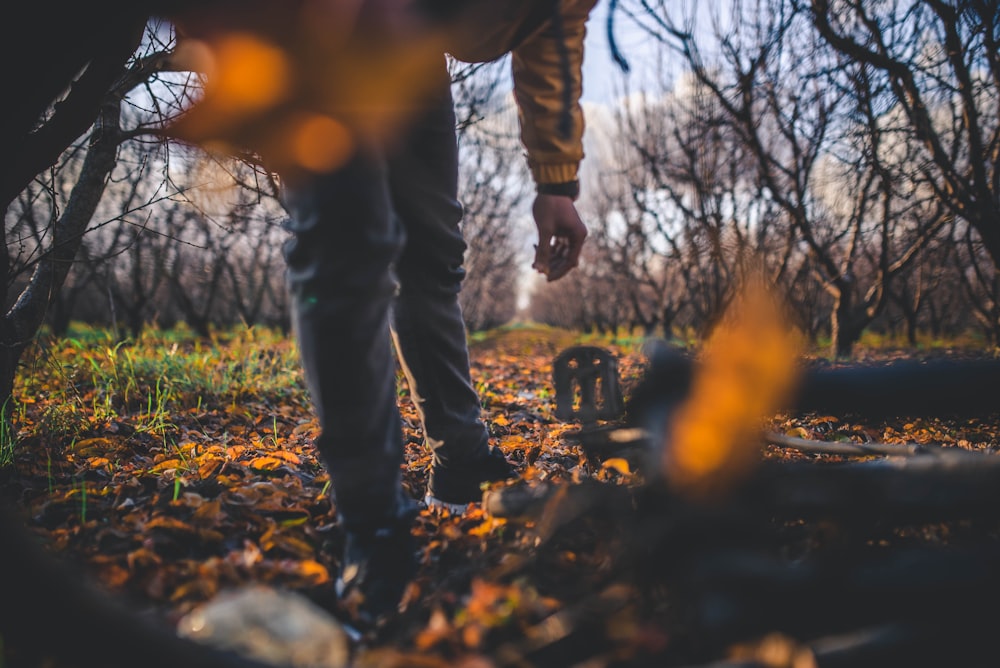 a man walking through a forest filled with lots of trees