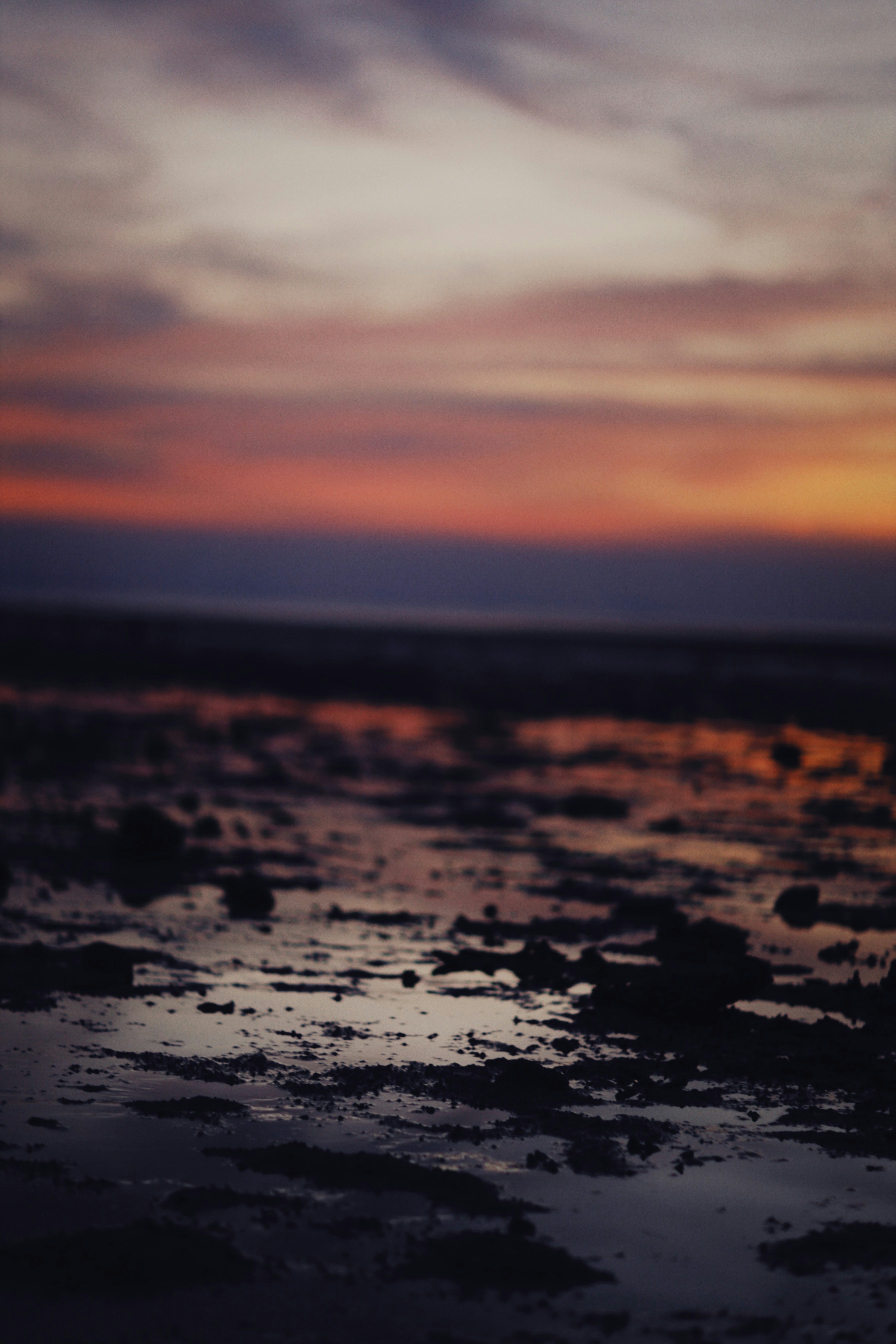 Photo by alexeydemidov