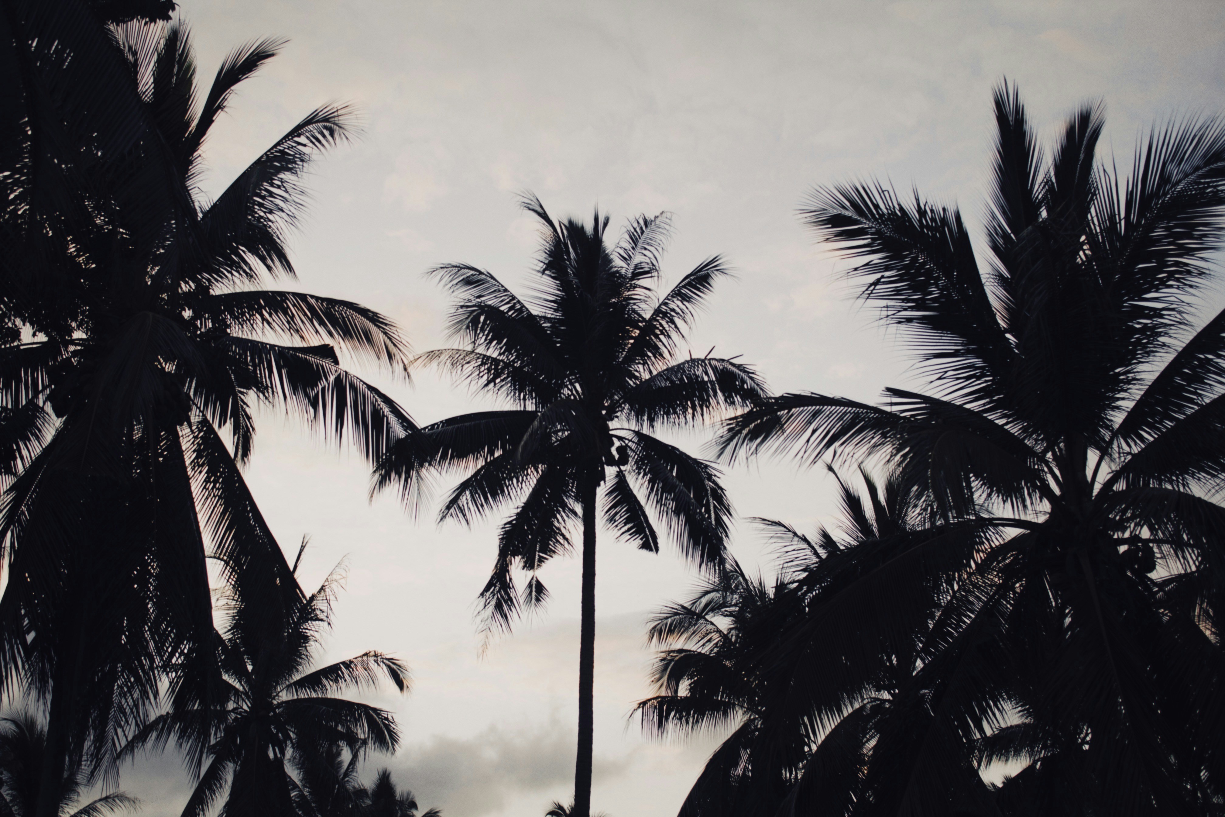 Photo by alexeydemidov