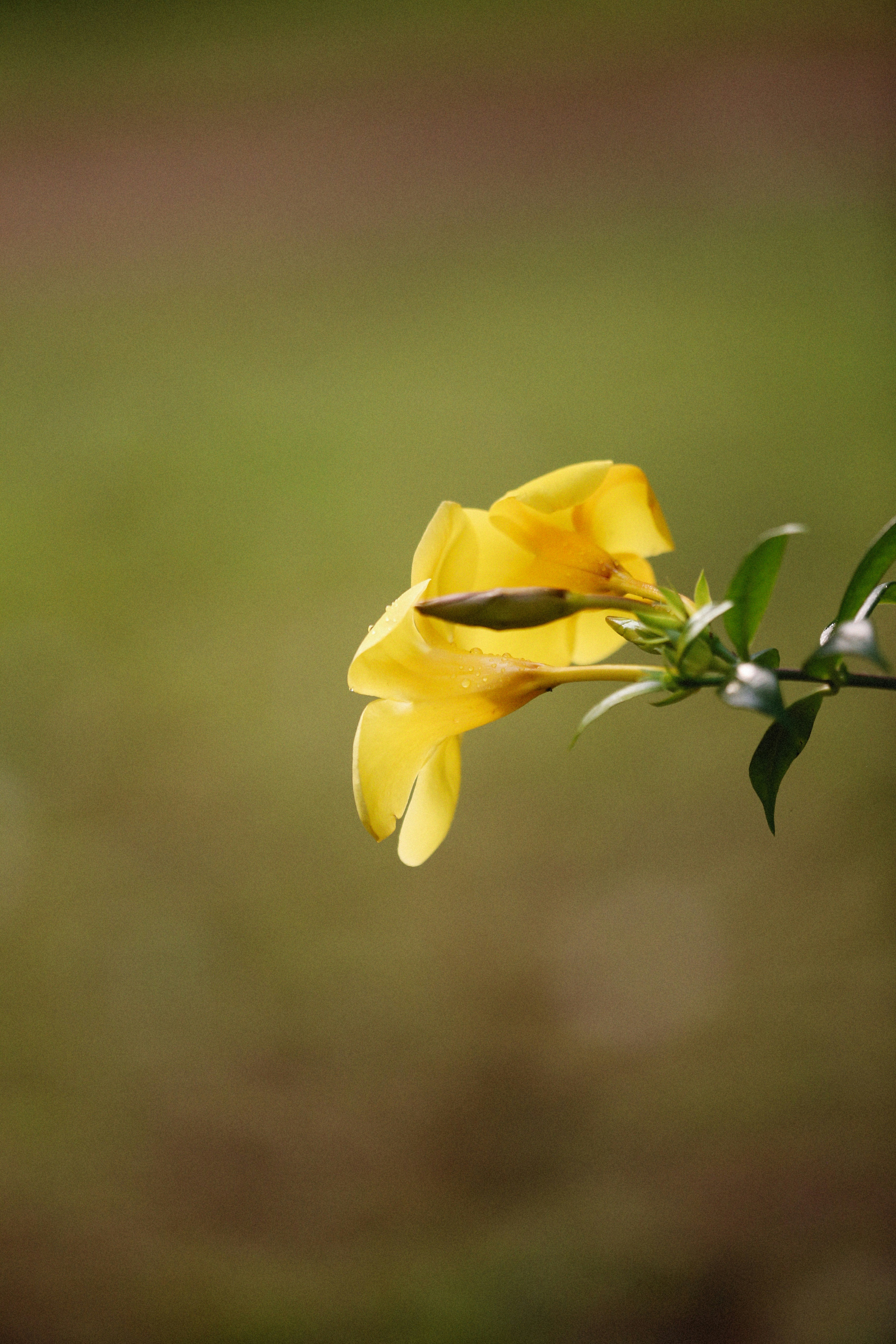 Photo by alexeydemidov