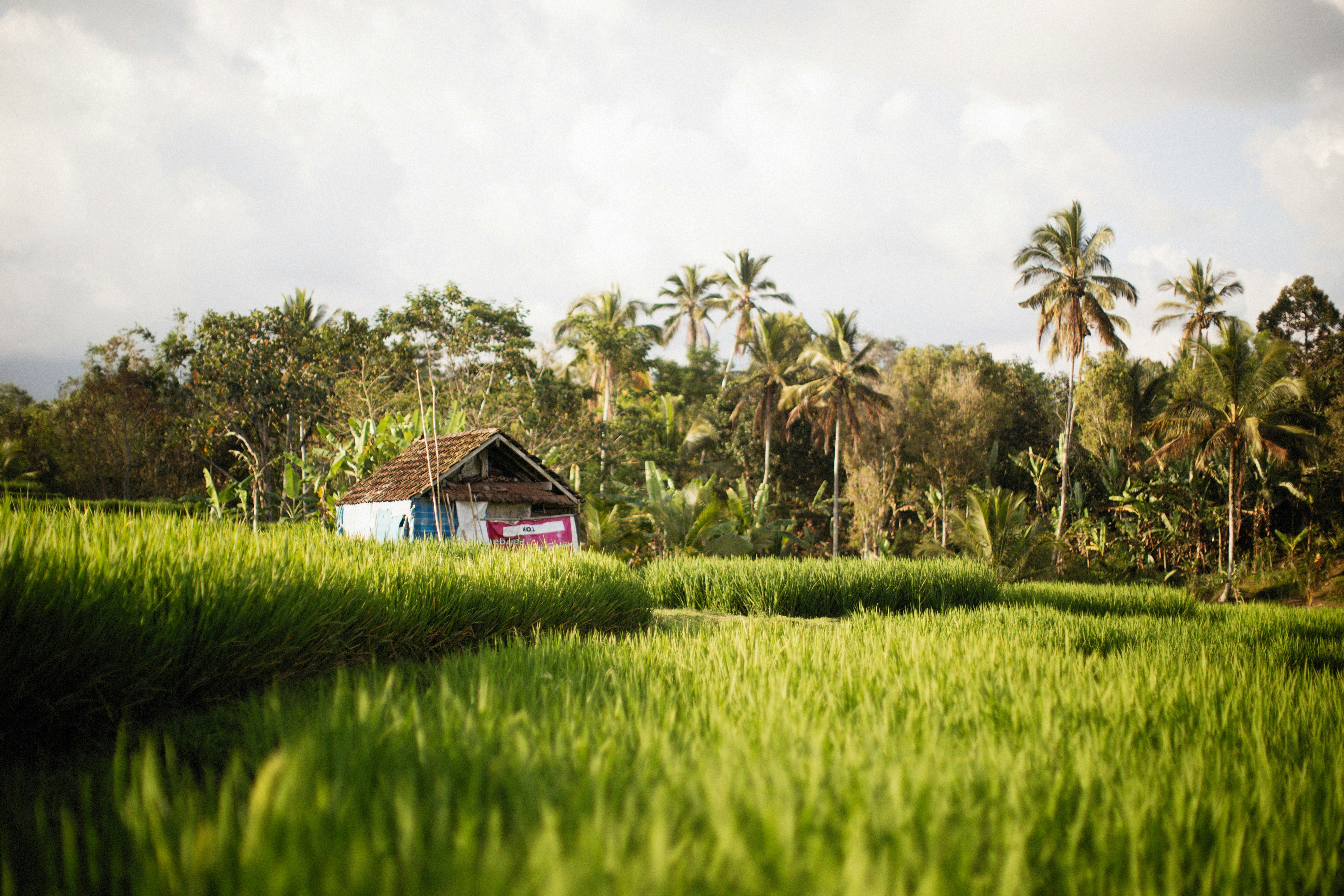 Photo by alexeydemidov