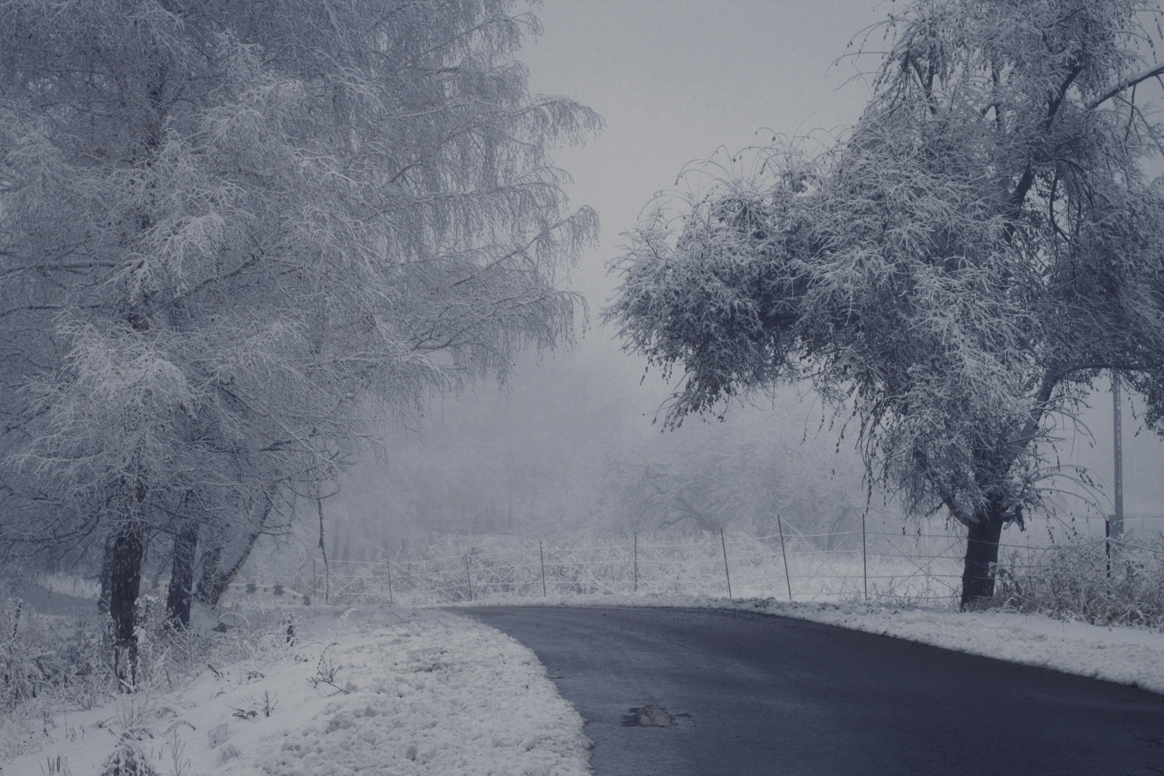 Photo by alexeydemidov