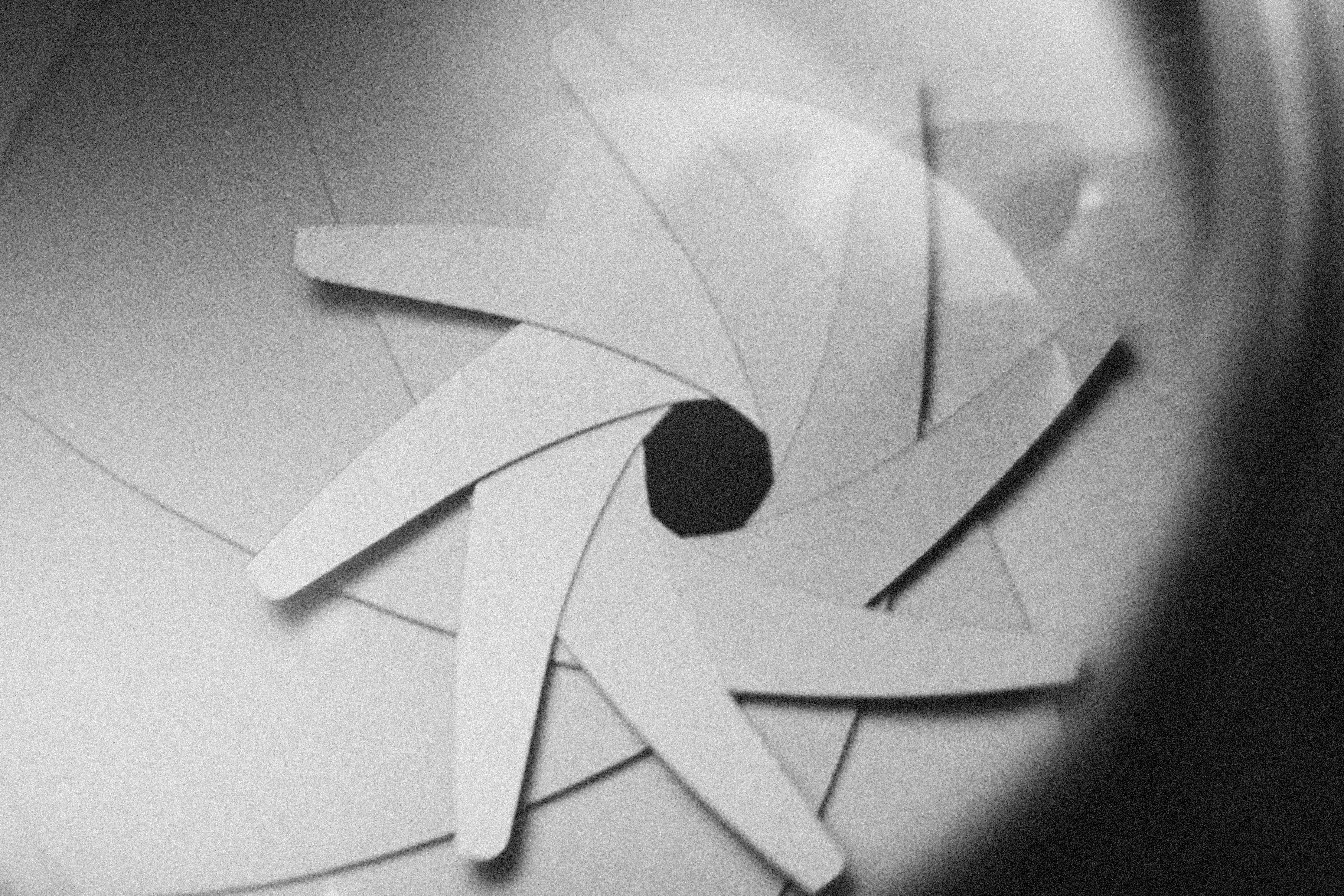 Photo by alexeydemidov