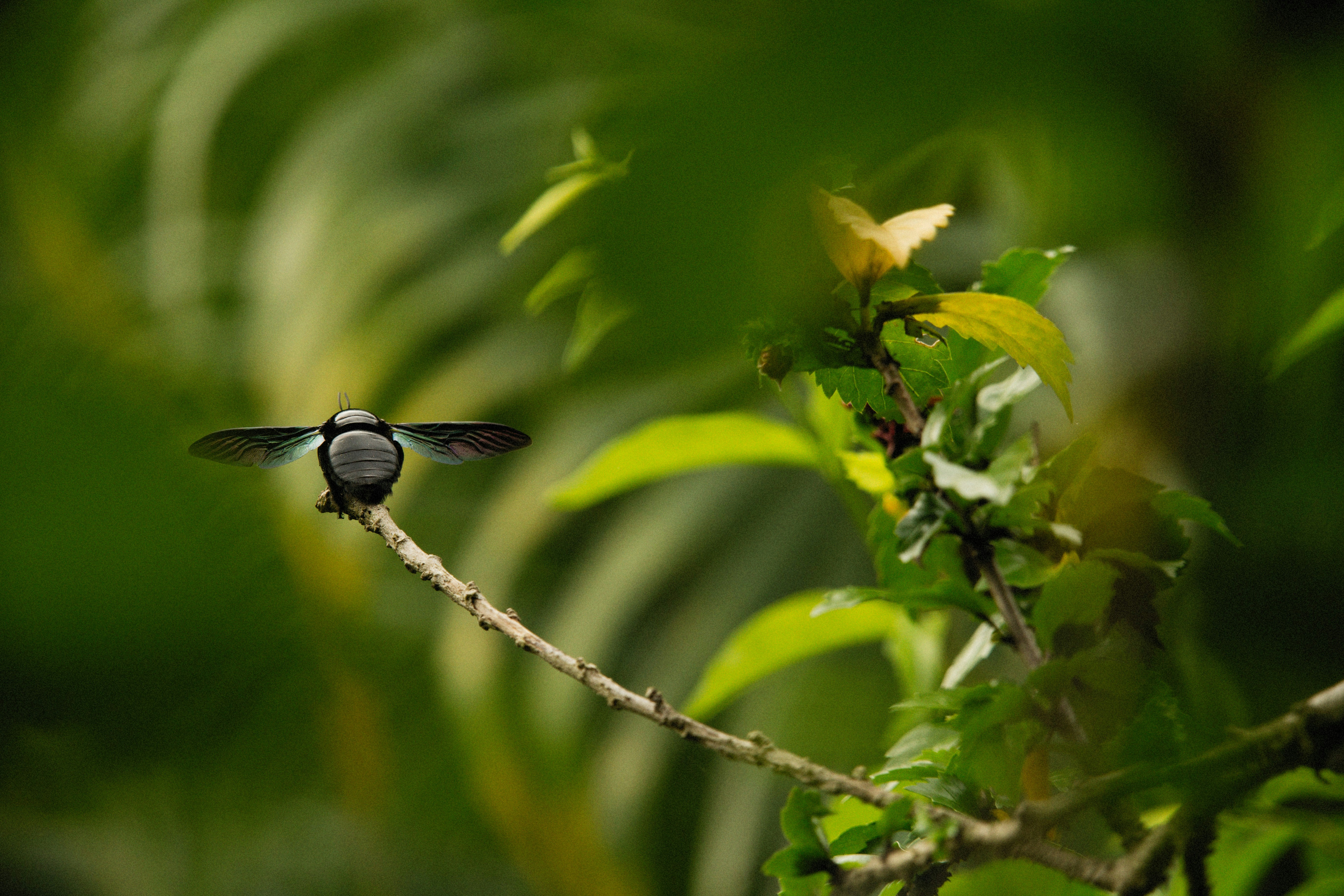 Photo by alexeydemidov