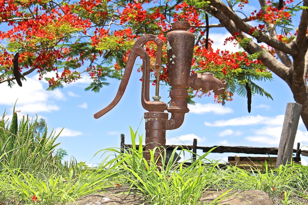 a rusted water faucet in front of a tree with red flowers