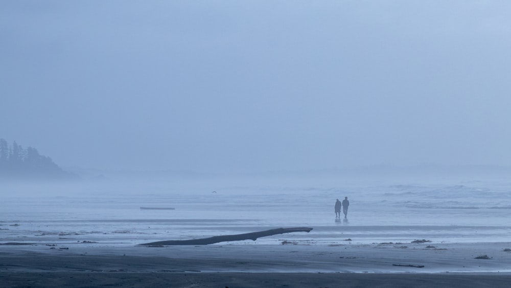 two people standing on a beach in the fog
