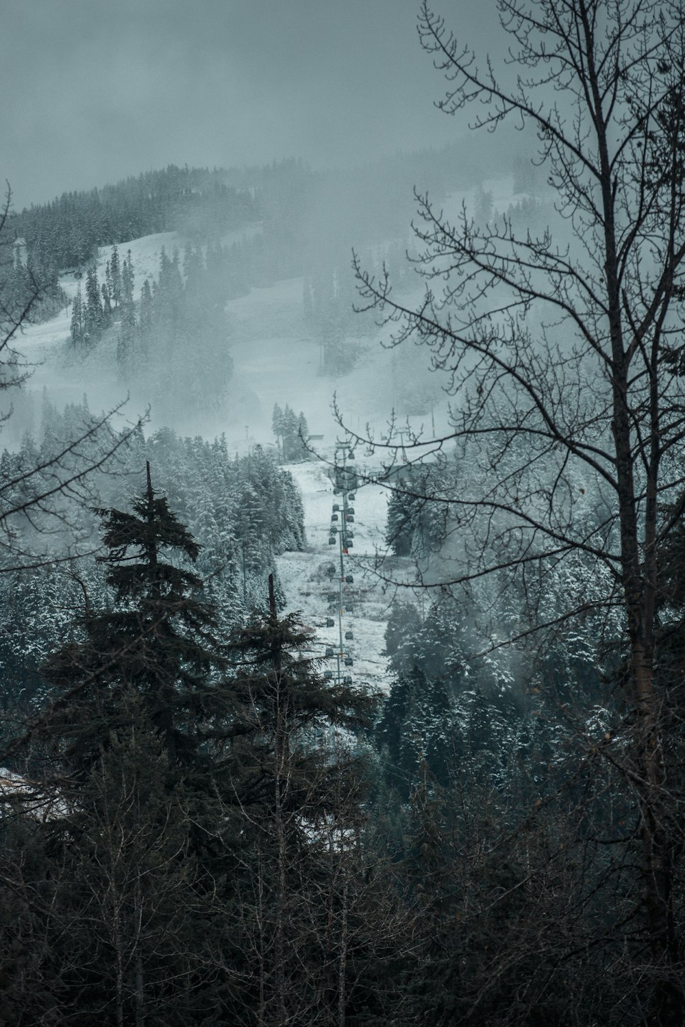 a snowy mountain with trees and a hill in the background