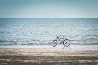A bicycle is parked on a sandy beach by the shoreline, with calm ocean waters extending to the horizon under a clear sky. The sand has a wet appearance near the water.