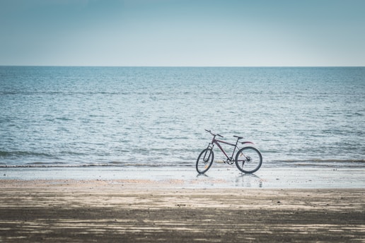 A bicycle is parked on a sandy beach by the shoreline, with calm ocean waters extending to the horizon under a clear sky. The sand has a wet appearance near the water.