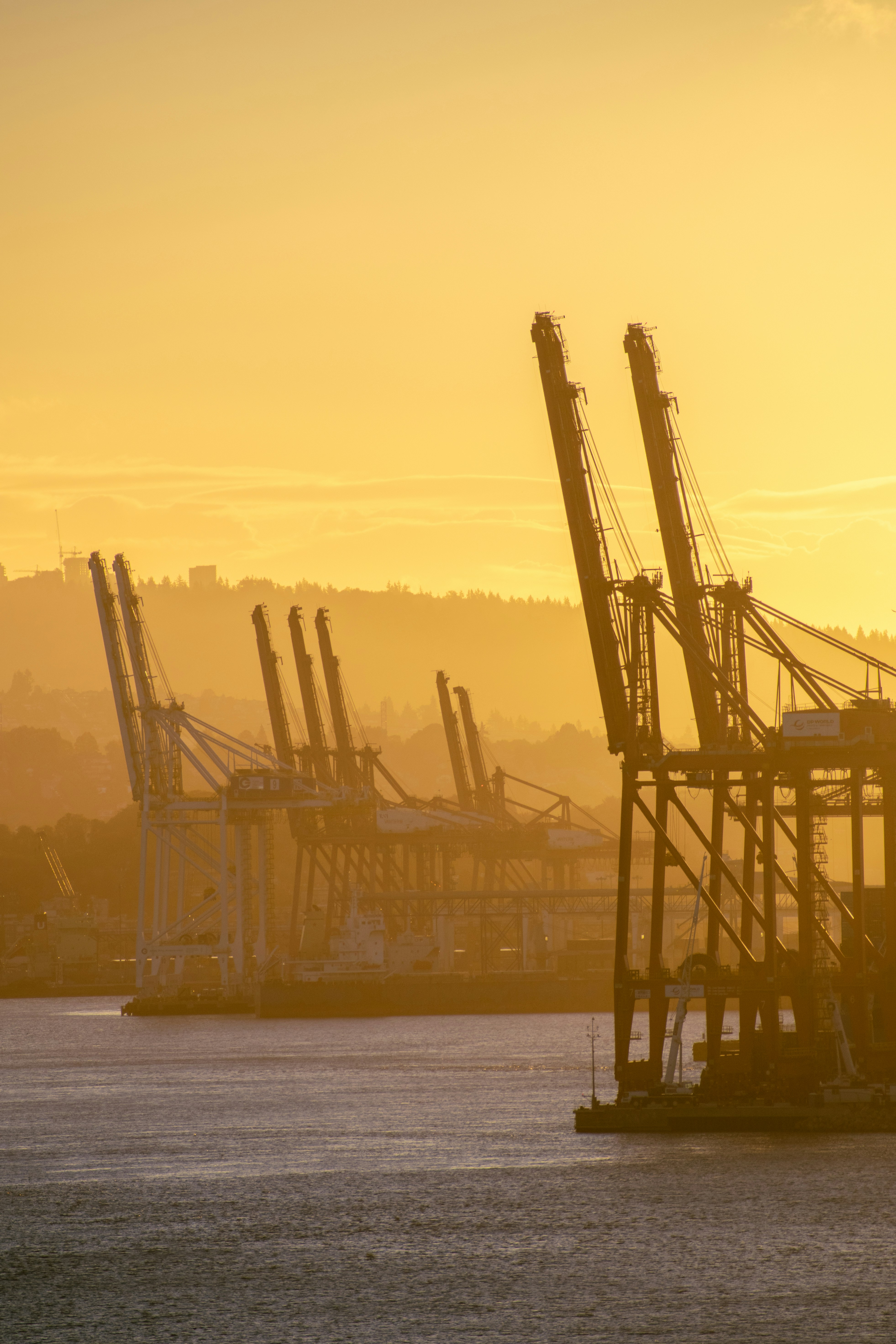 Photo by micahmphotography