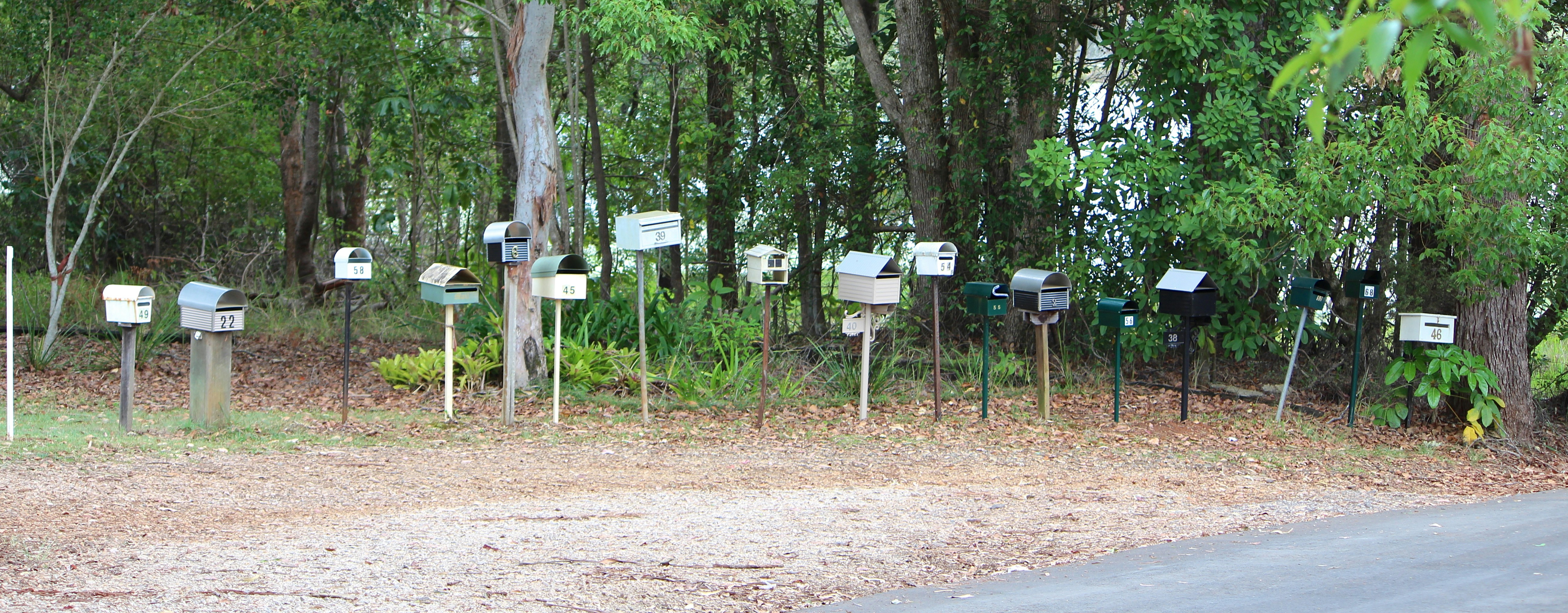 photo 1639453156049 f6ca0730b0c7?crop=entropy&cs=tinysrgb&fit=max&fm=jpg&ixid=M3w1MjQ0NjR8MHwxfHNlYXJjaHw1fHxQZXN0JTIwQ29udHJvbCUyMFNlcnZpY2UlMjBUdXNjYWxvb3NhJTIwQWxhYmFtYXxlbnwwfDB8fHwxNzYwMjk4NzU4fDA&ixlib=rb 4.1