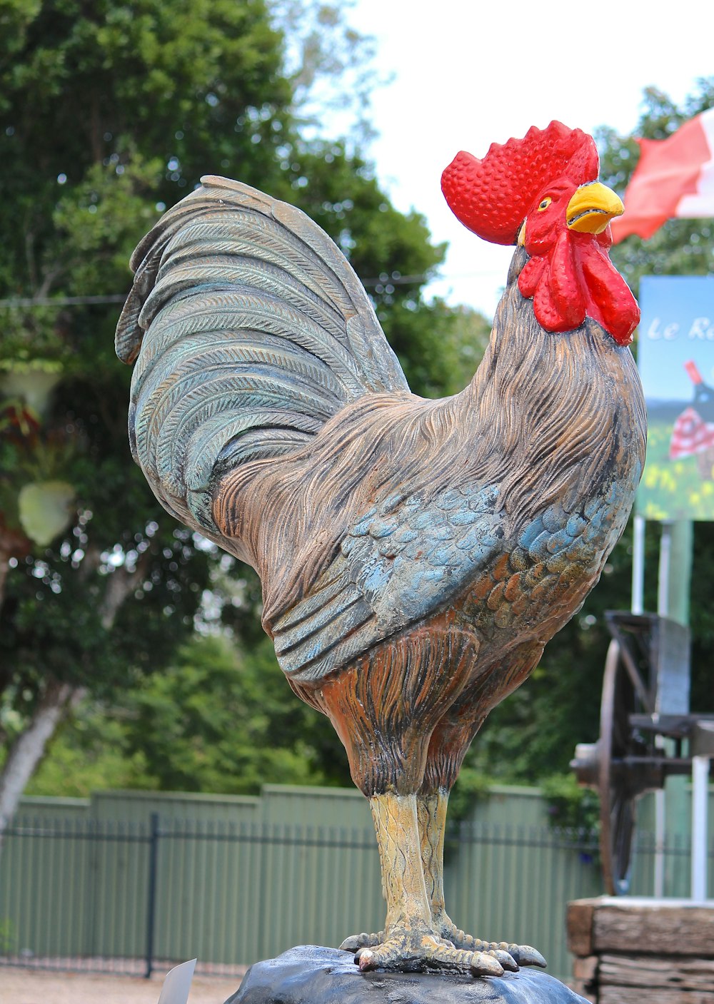 a close up of a bird