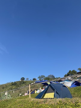 Campers setting up tents in a sunny clearing.