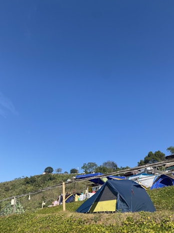 A sunny outdoor camping scene with multiple tents set up on a grassy hillside under a clear blue sky. The foreground features a prominent blue and yellow tent, while other tents and camping gear are visible in the background. Some trees and shrubbery dot the landscape, enhancing the natural setting.