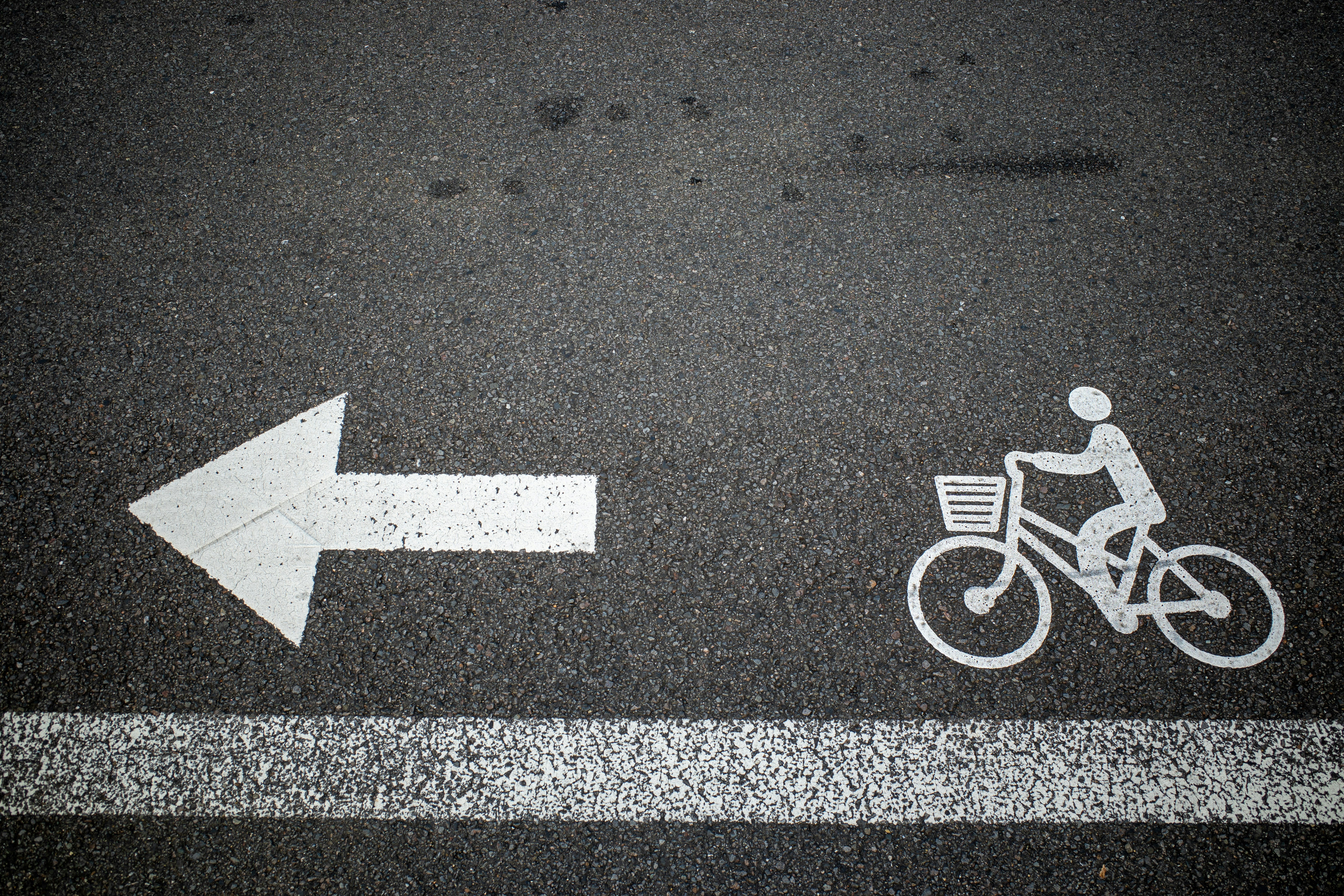 1. Comenzando en el Desarrollo de Software: Oportunidades y Perspectivas Futuras