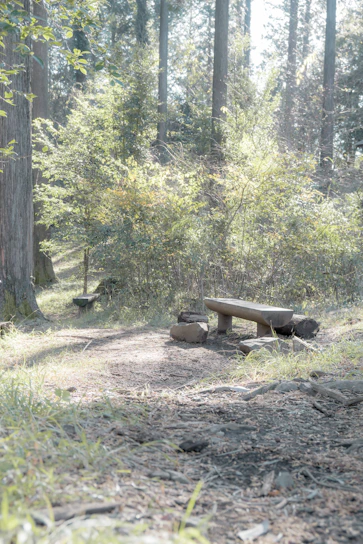 A serene garden bench bathed in soft afternoon light, symbolizing peace and reflection.