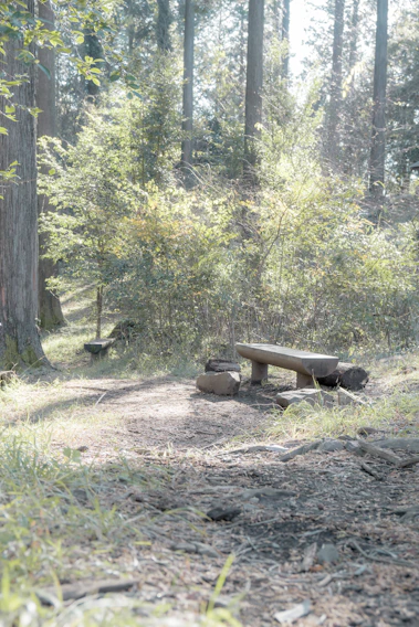 A serene garden bench bathed in soft morning light, symbolizing peace and reflection.