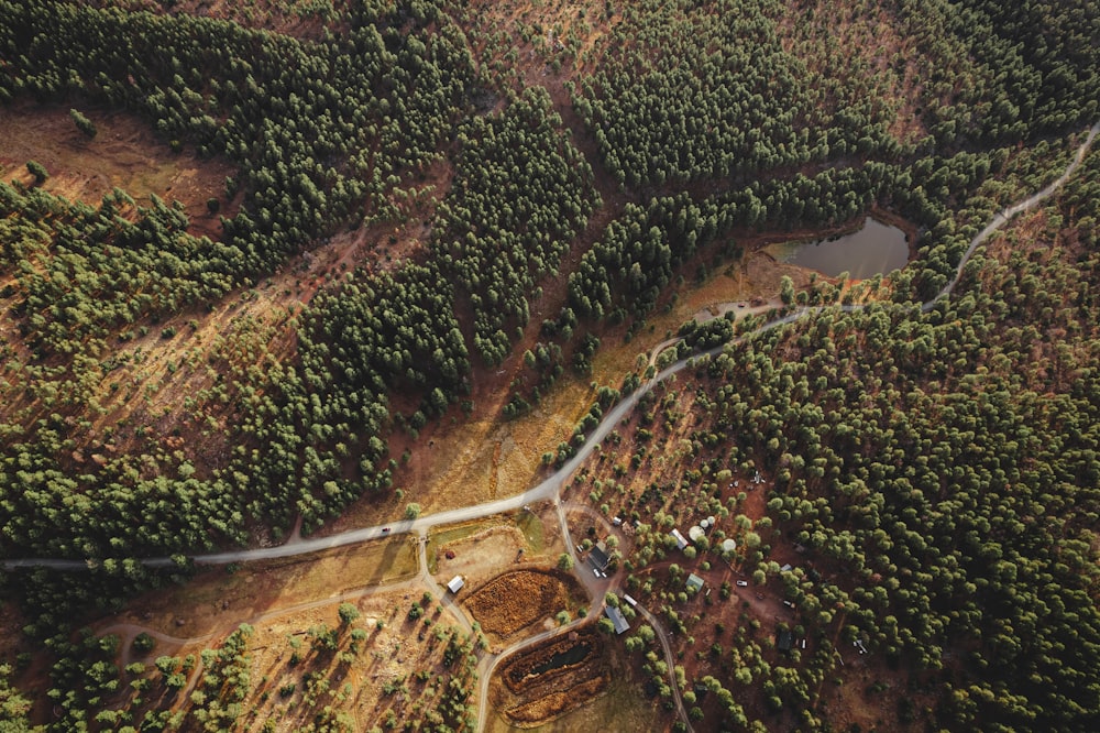 an aerial view of a road in the middle of a forest