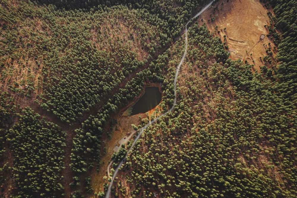 an aerial view of a road winding through a forest