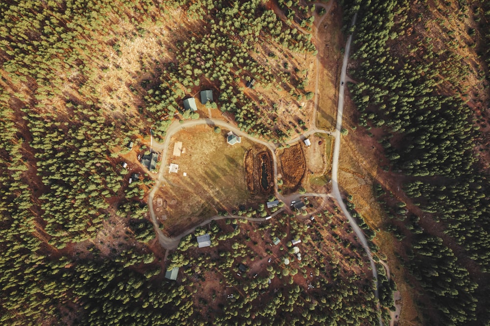 an aerial view of a small village in the middle of a forest